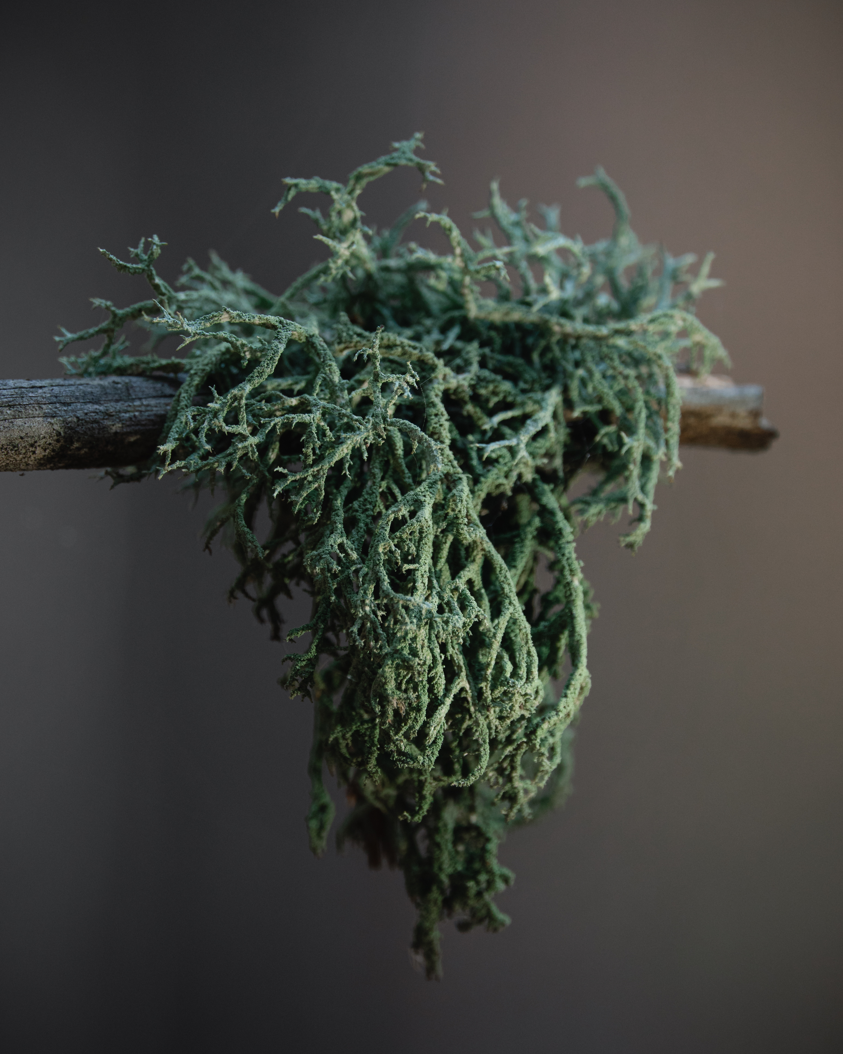 , Андрей Иванов