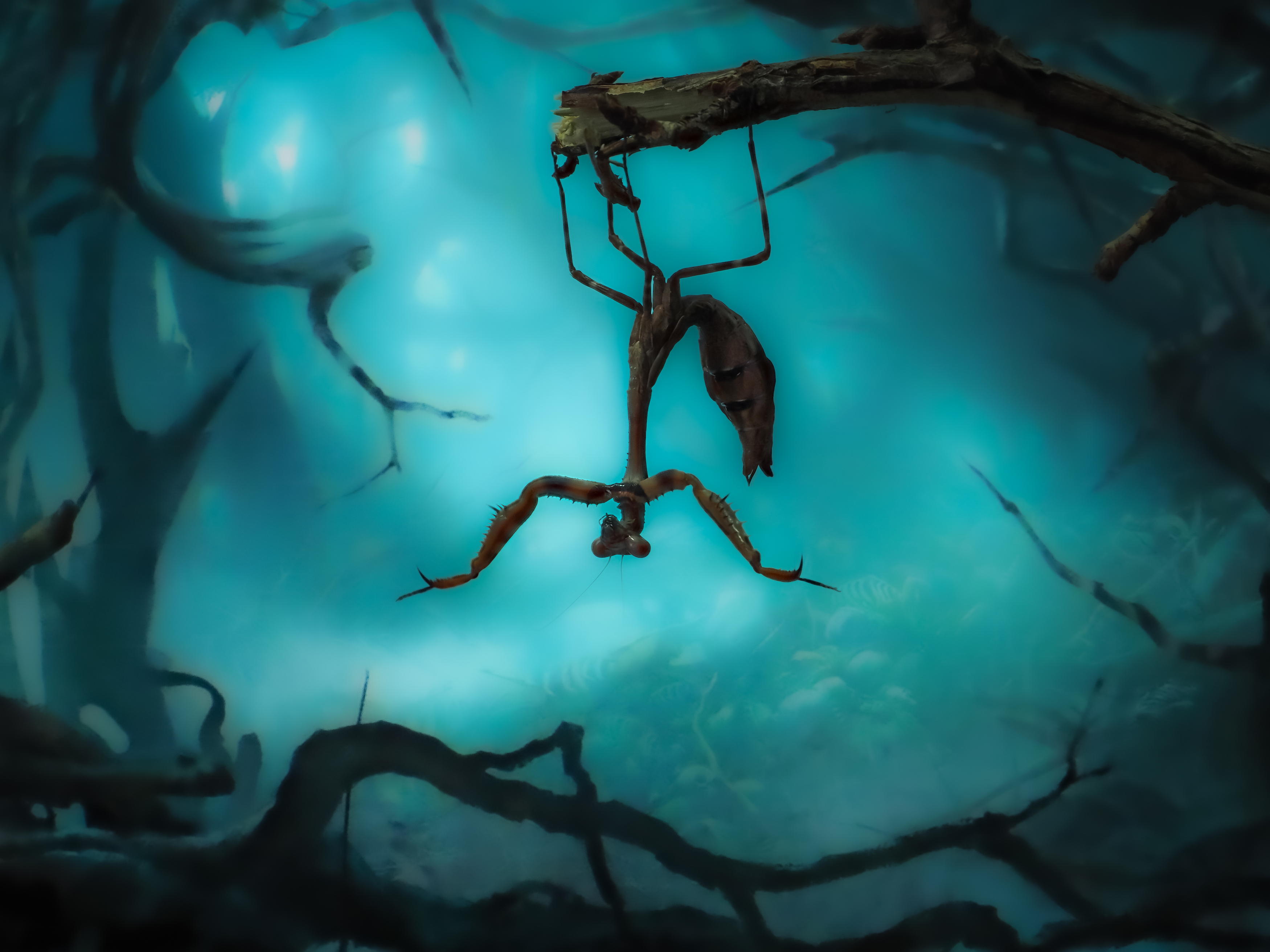 , Олег Савицкий