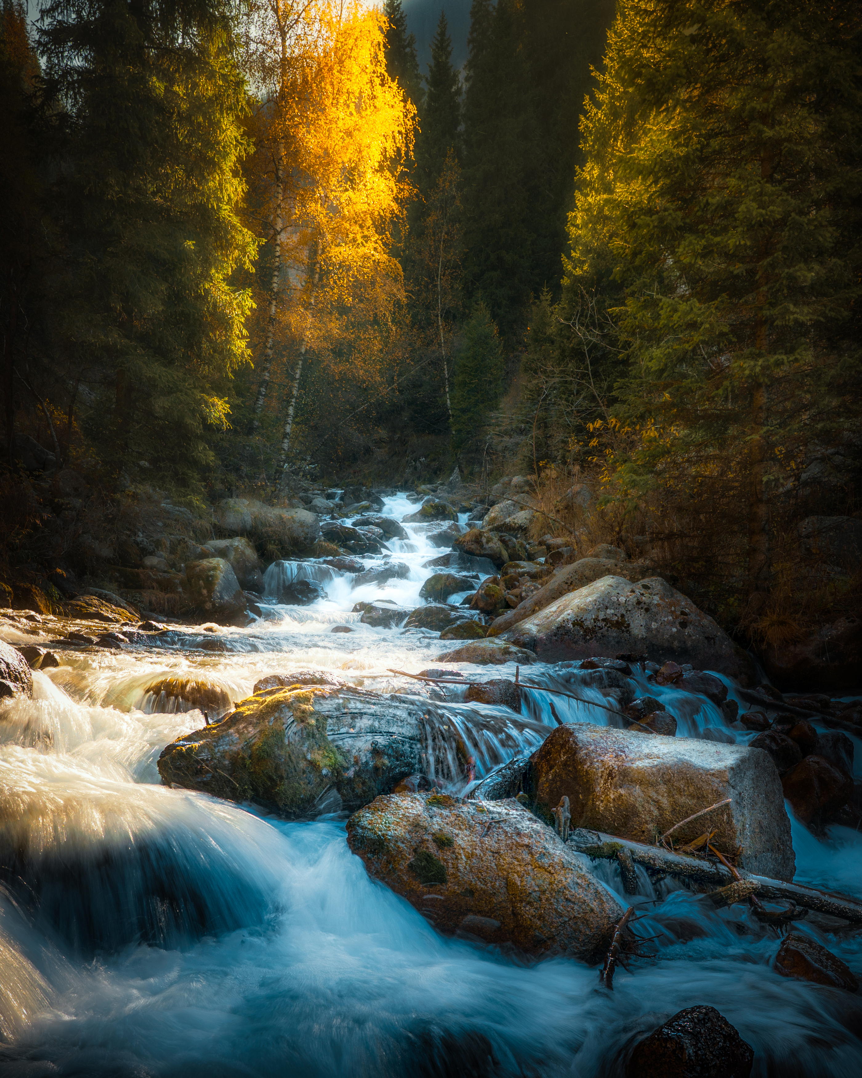 , Купчиков Илья