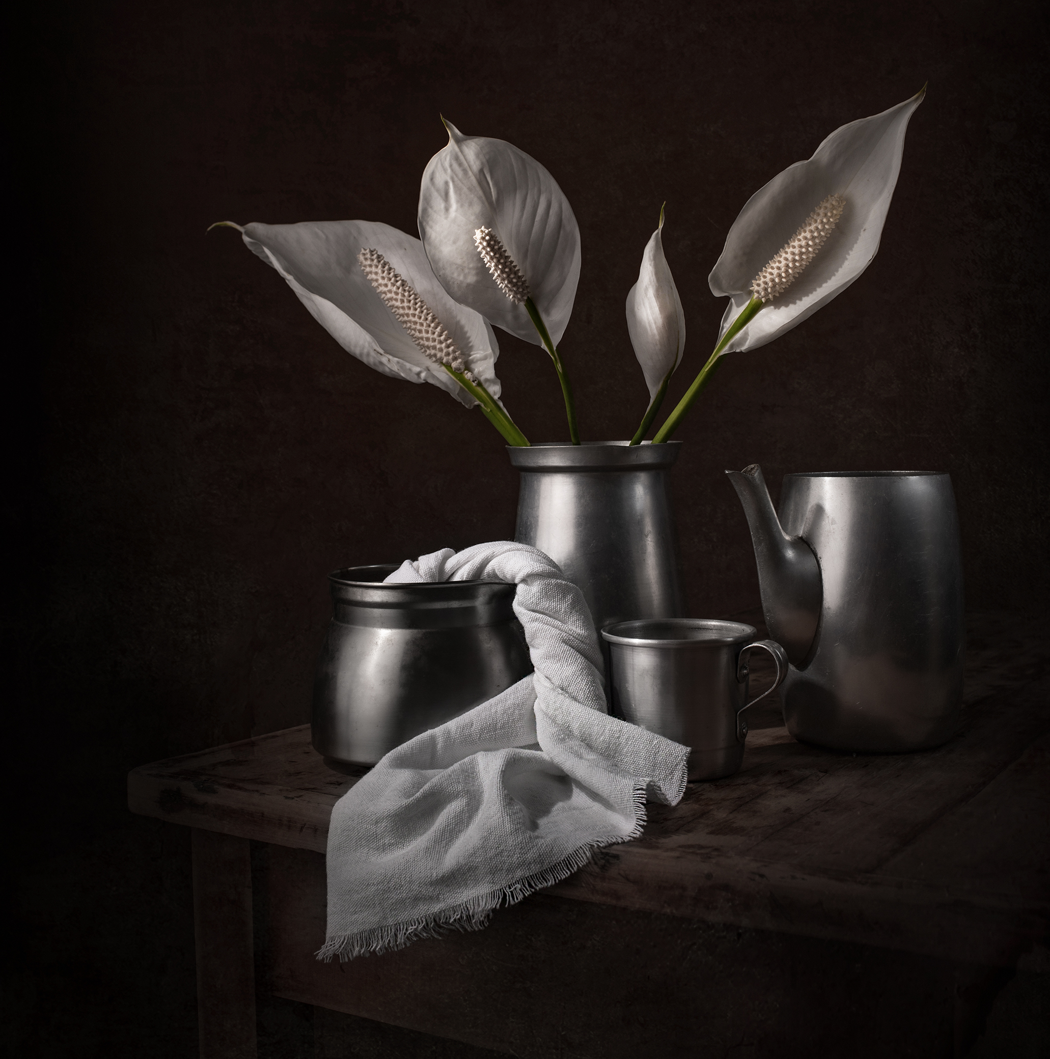 Still life, flowers, light, white, shadow, metal , Maria Margareth Perfoncio