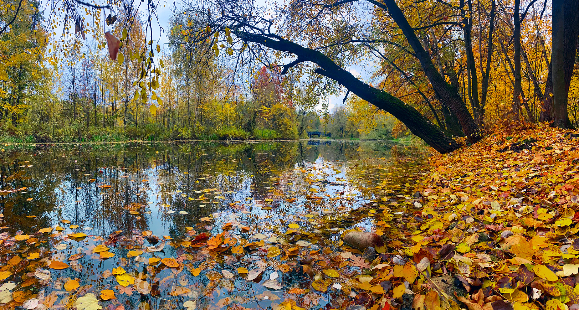 москва, парк, осень, Виктор Климкин