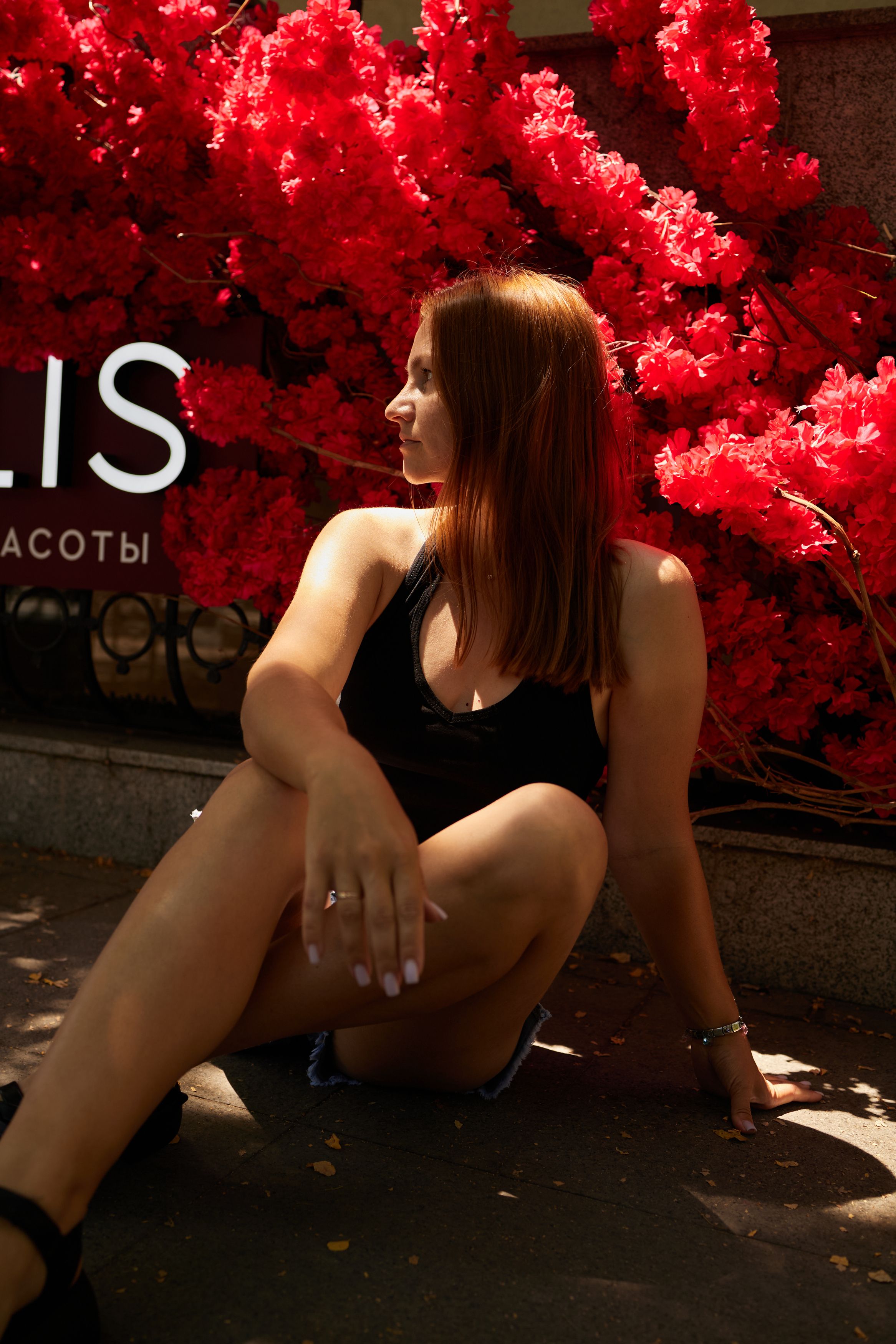 , Никулин Сергей