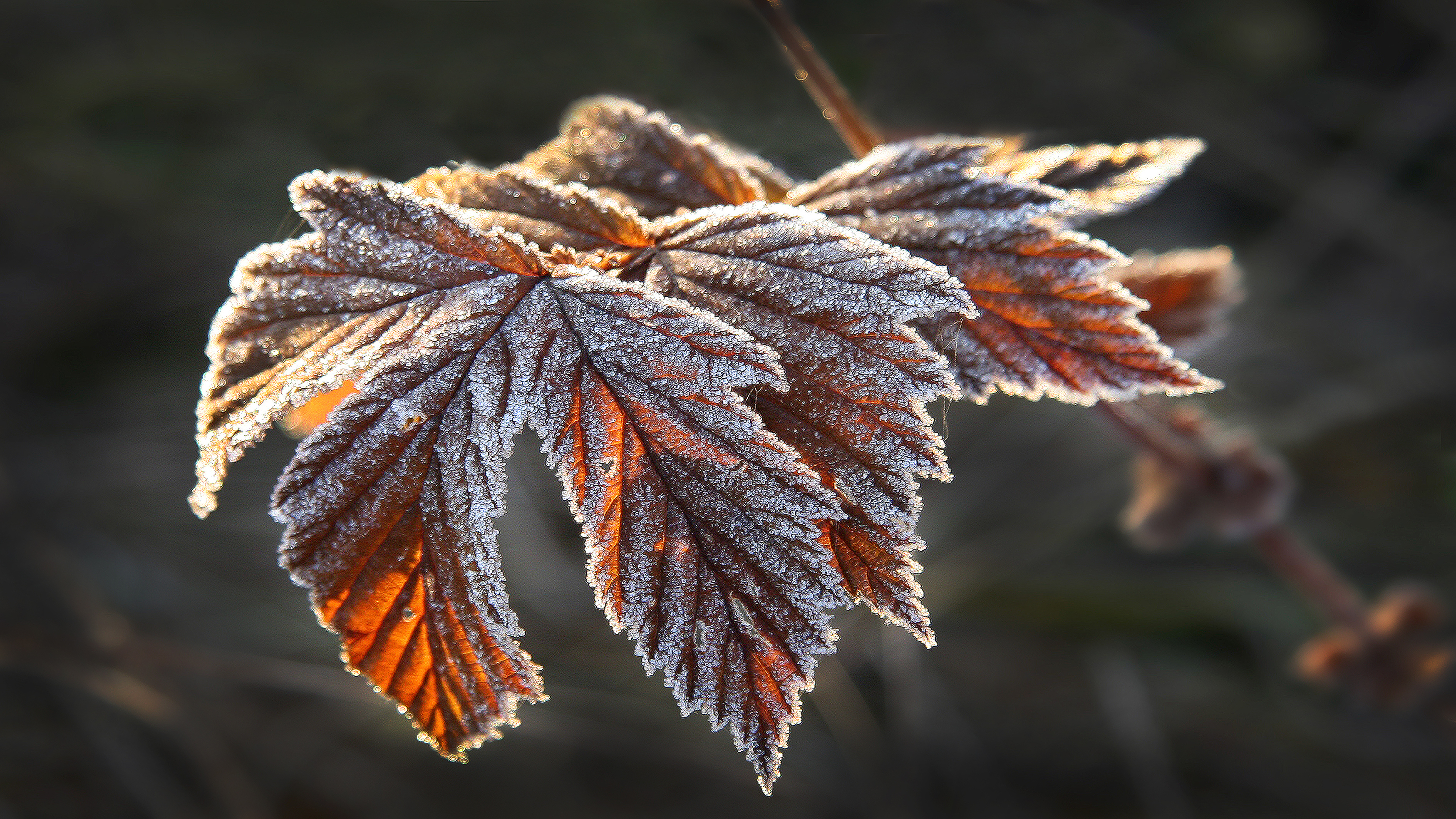 , Ушаков Валерий