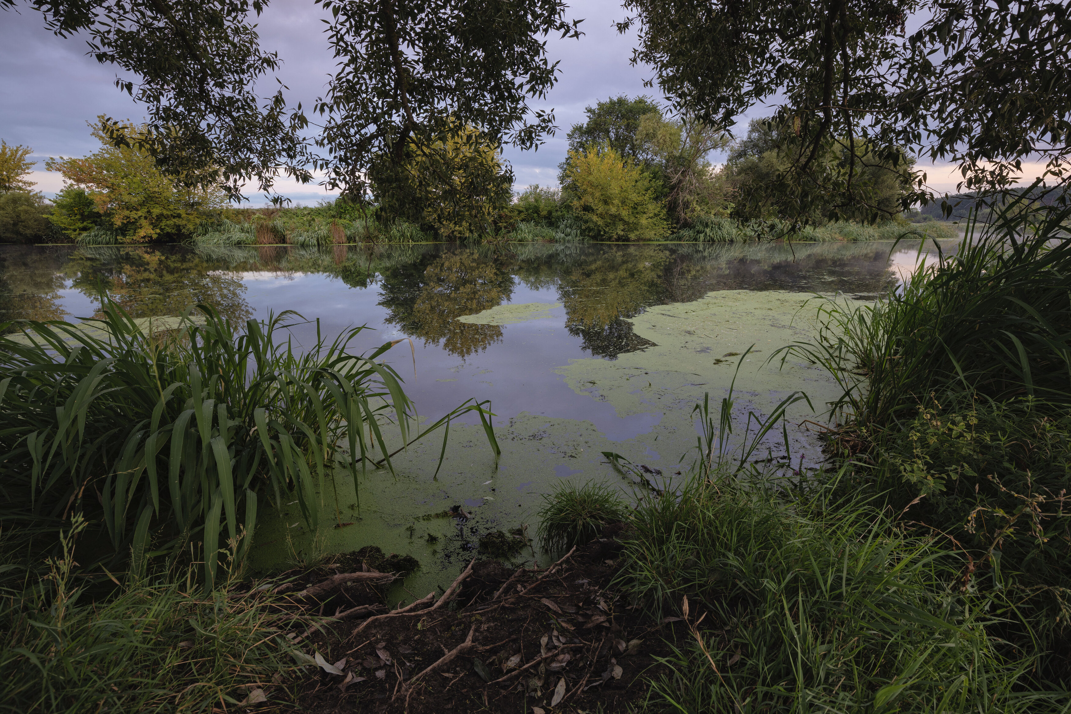 , Александр Бредихин