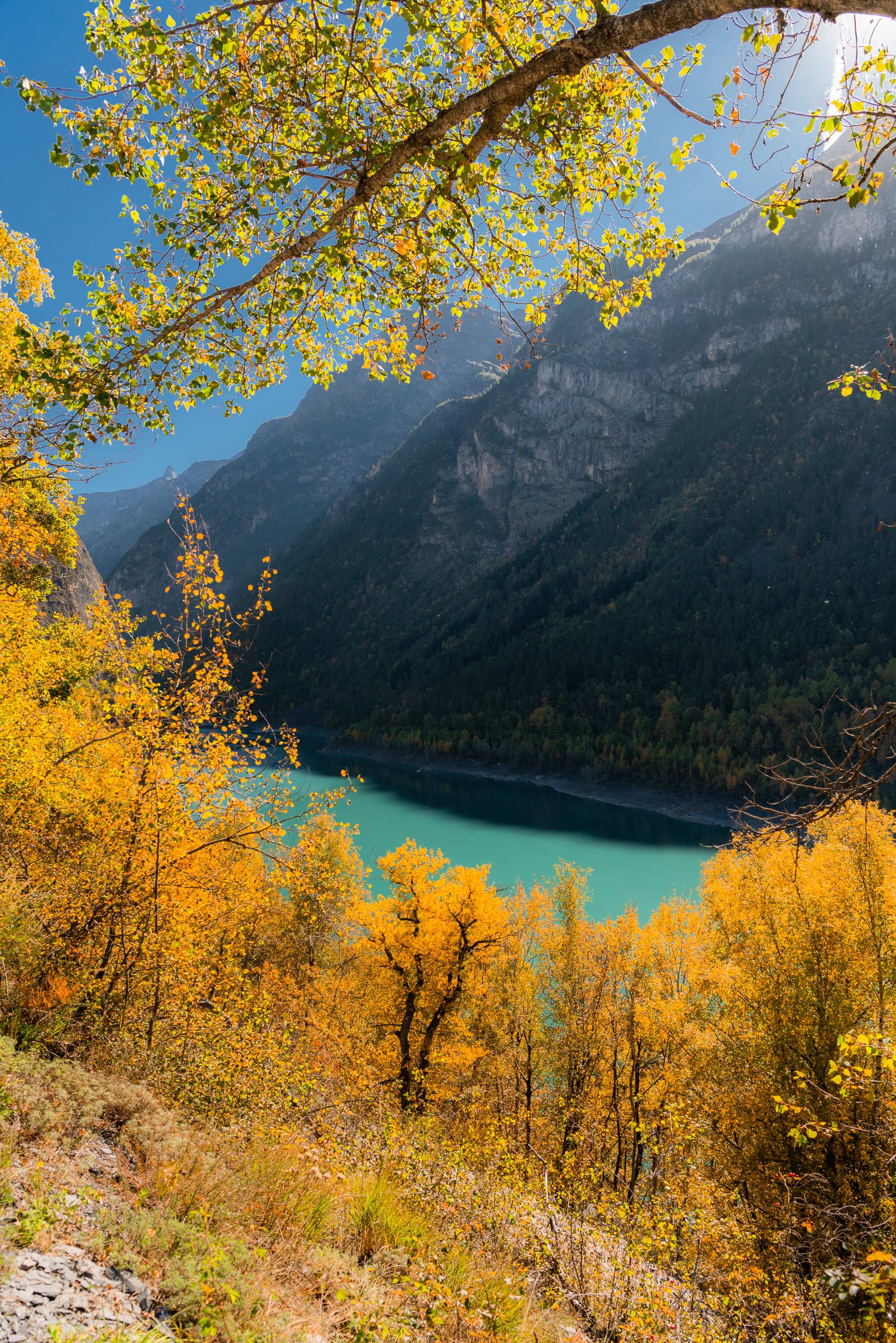 , Руслан Авдевич