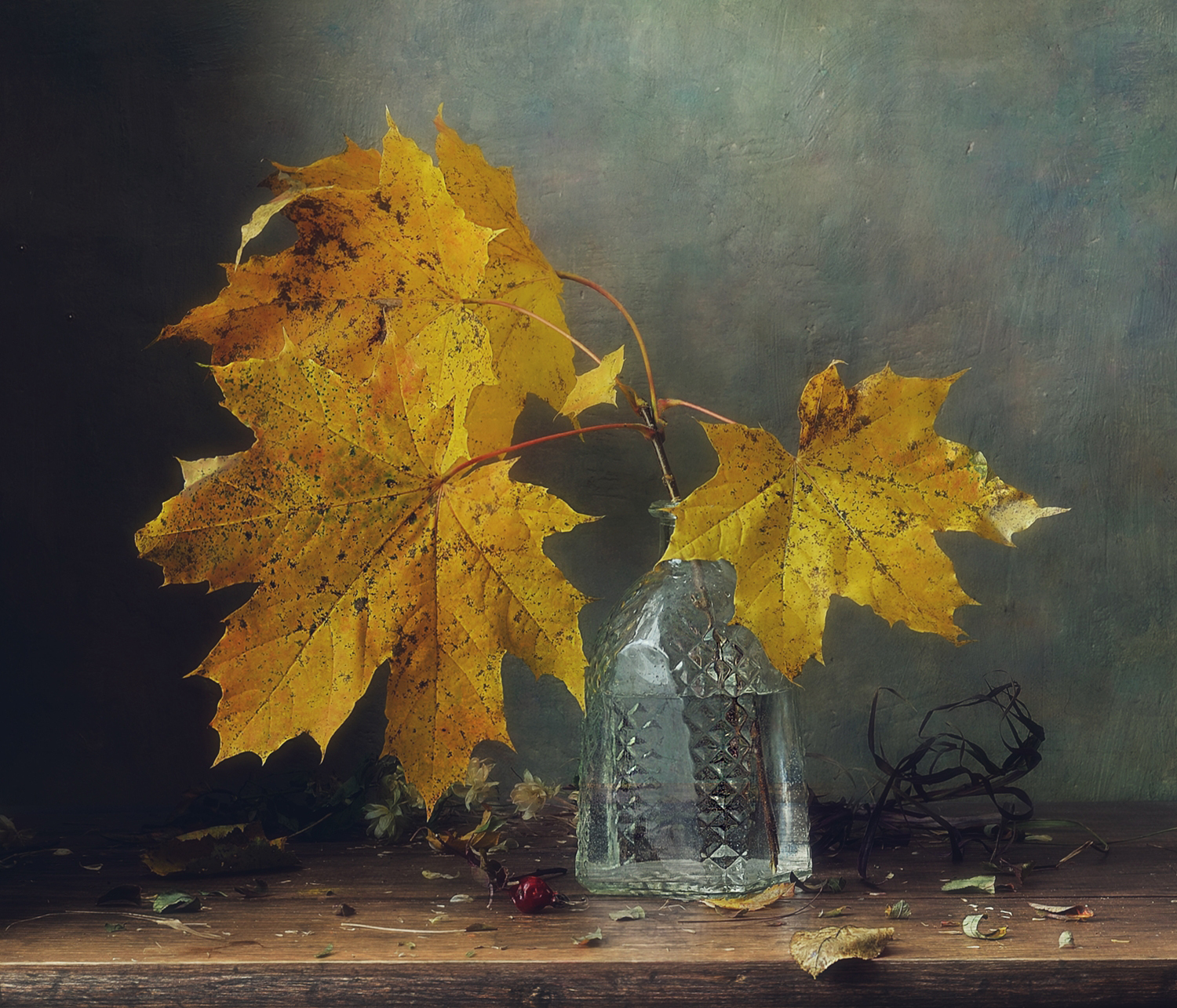 натюрморт,листья,осень,клен, Наталия К