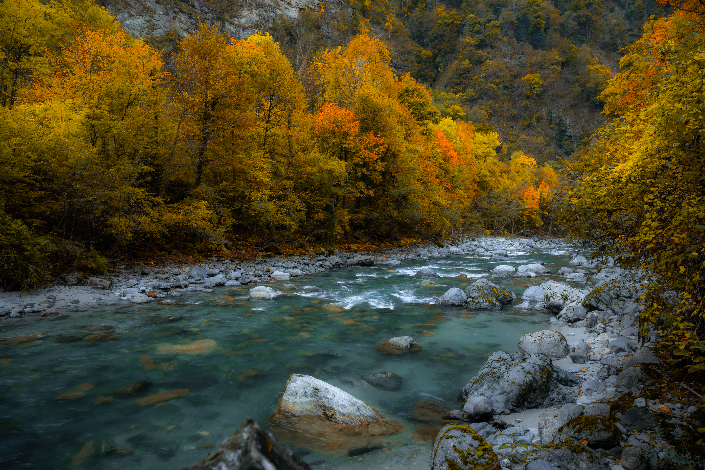 , Руслан Авдевич