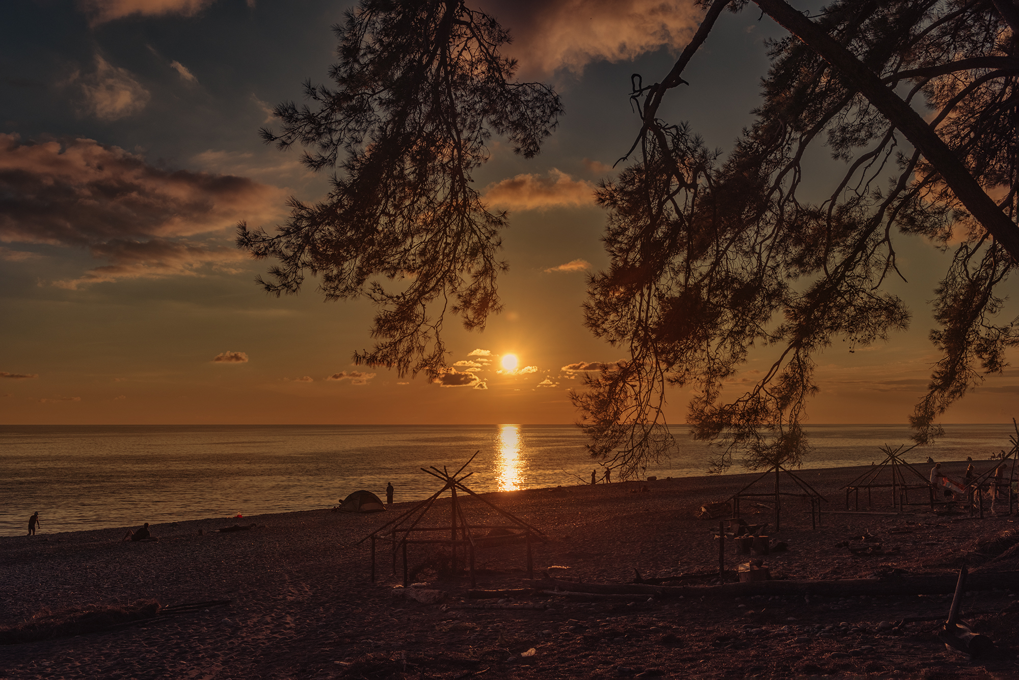 море закат сосна облака пляж,  Мария