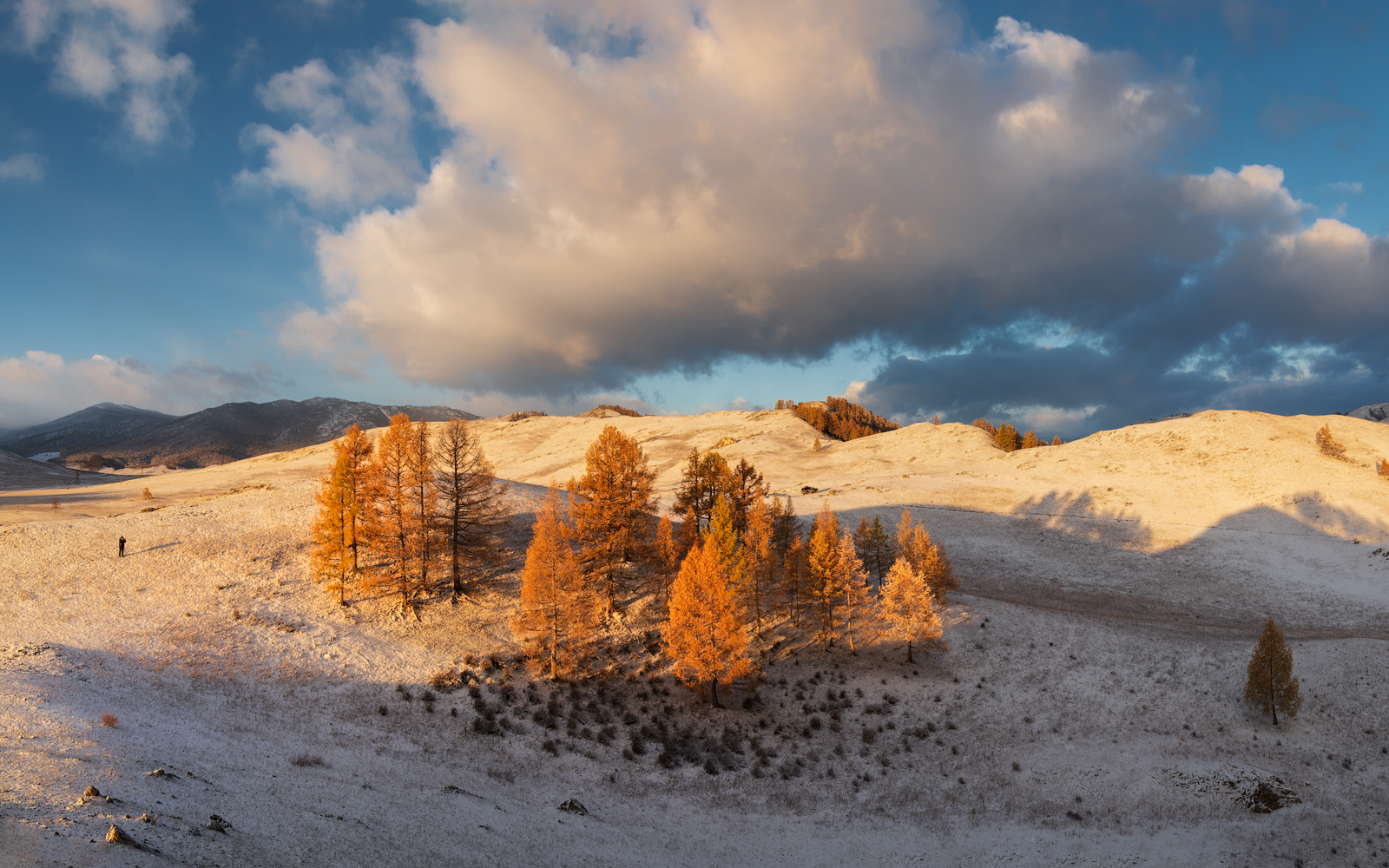 алтай, горный алтай, пейзажи алтая, усть-канский район, горная степь, золотая осень, горы, осенний алтай, лиственницы, Рубан Елена
