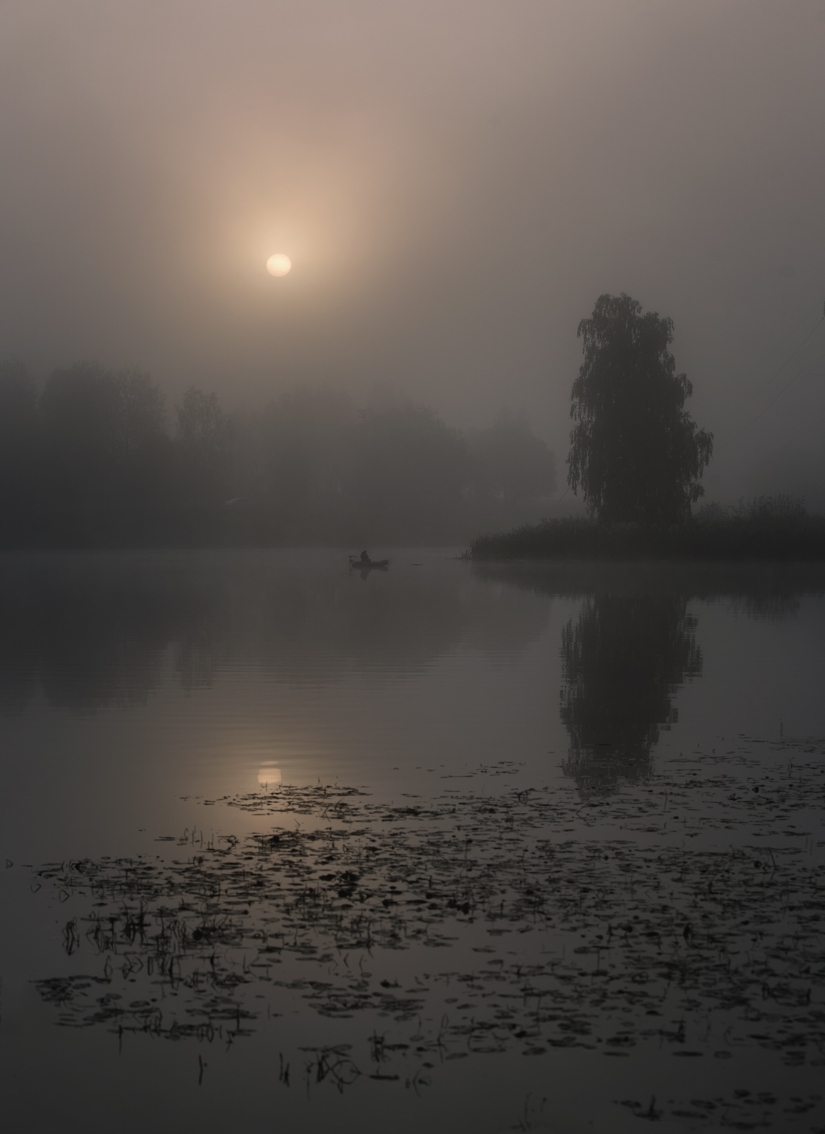 лес, свет, утро, природа, Баранов Олег