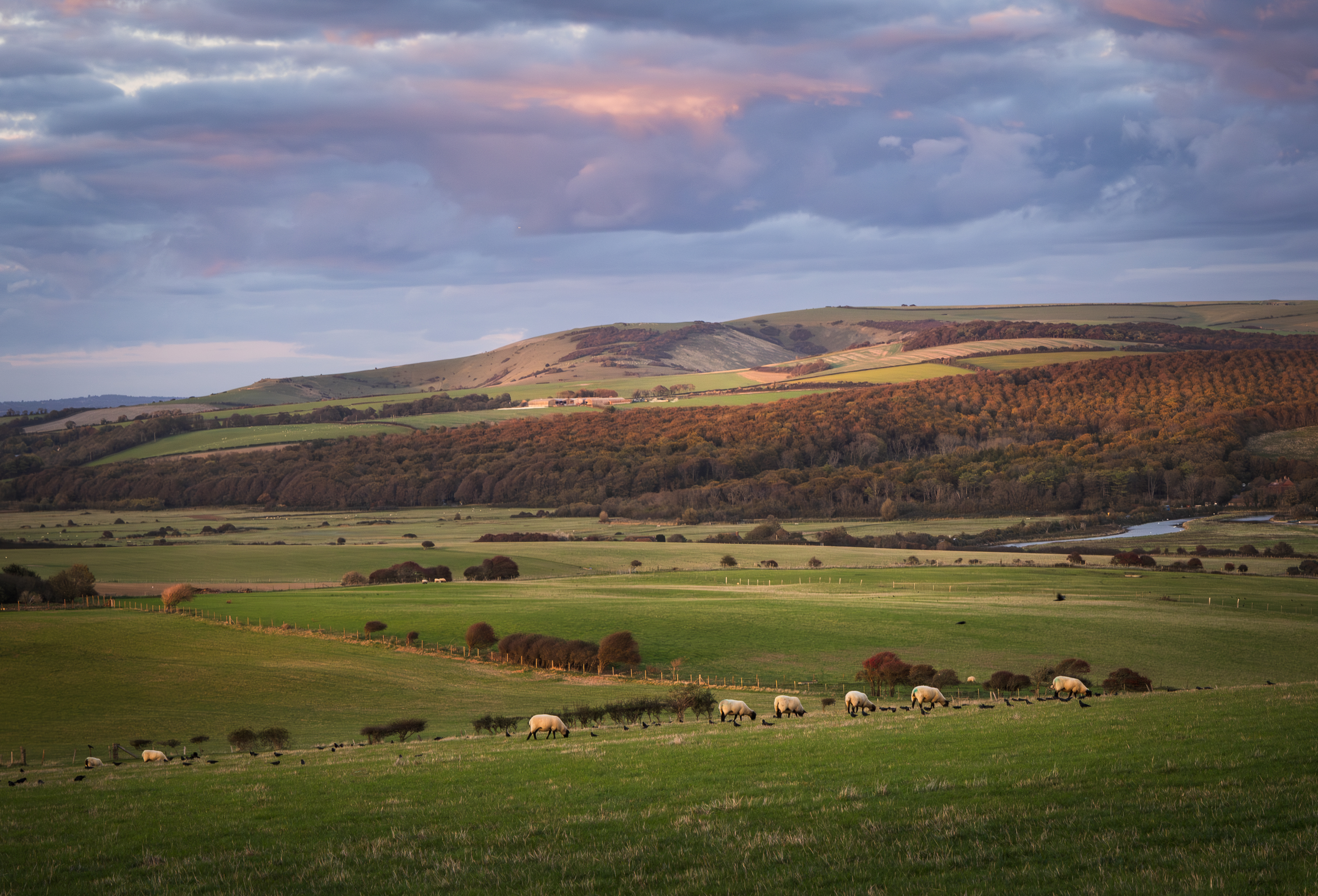 , Алекс Римский