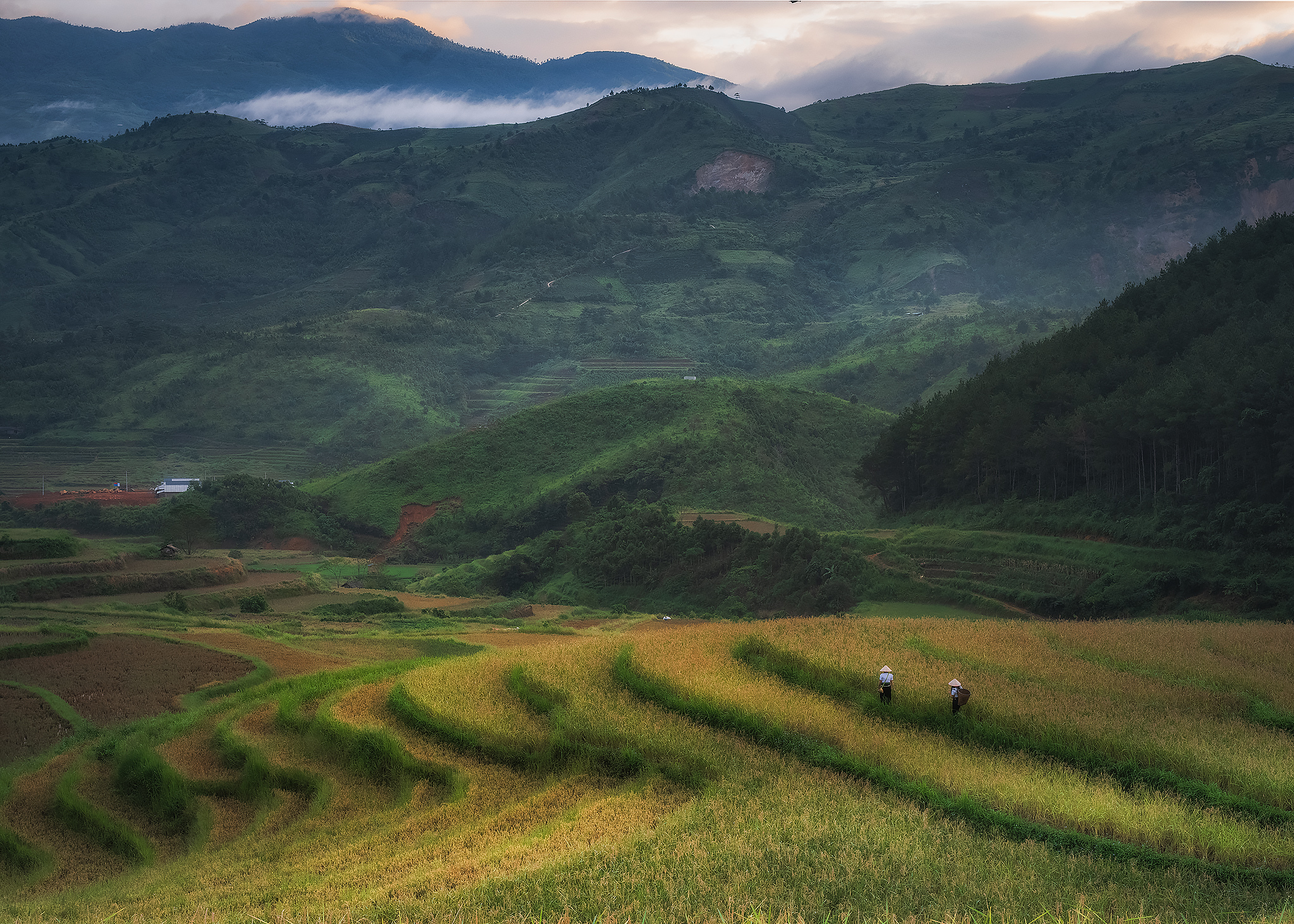 , Поляков Владимир