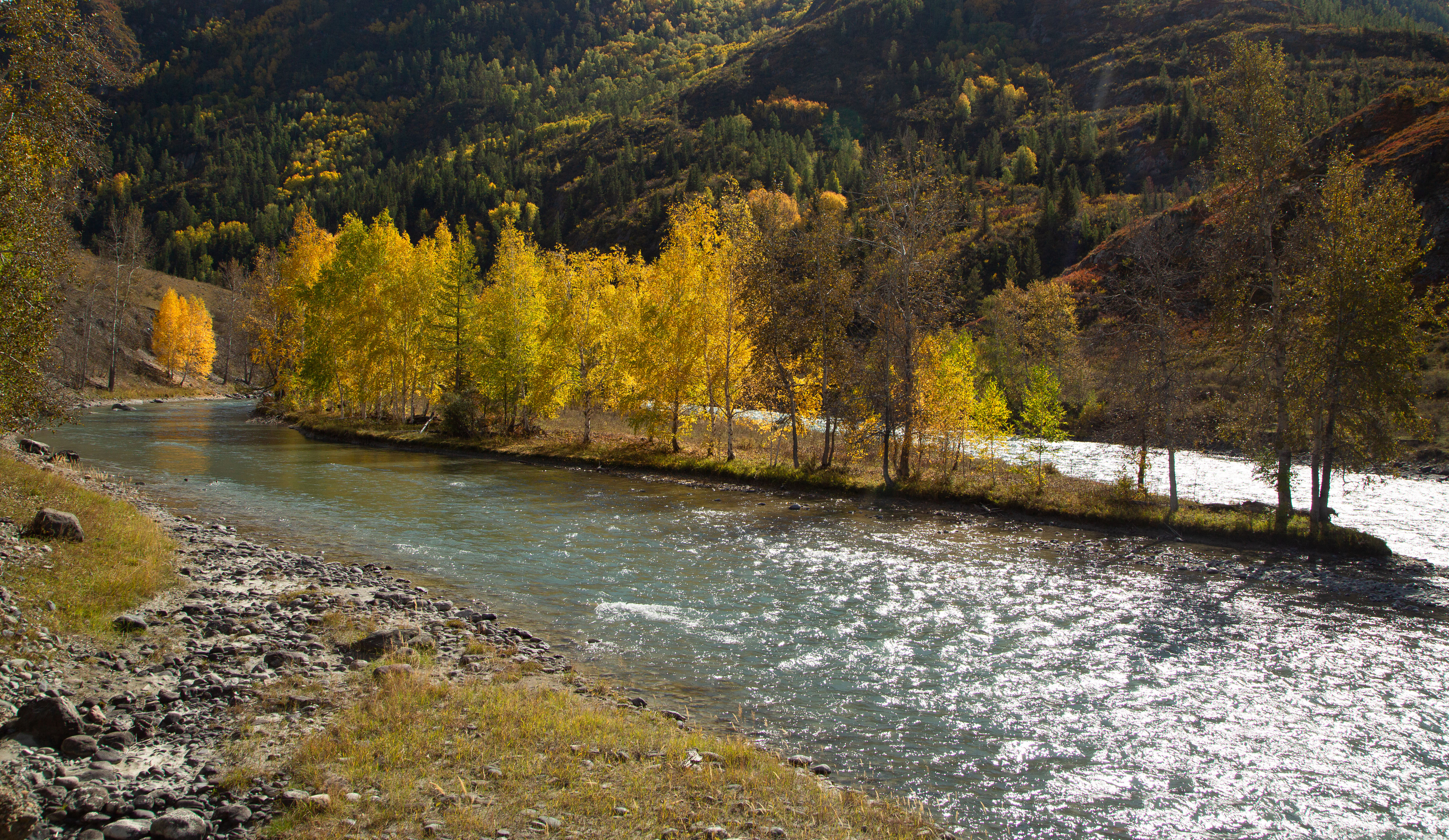 , Евгений Зинов