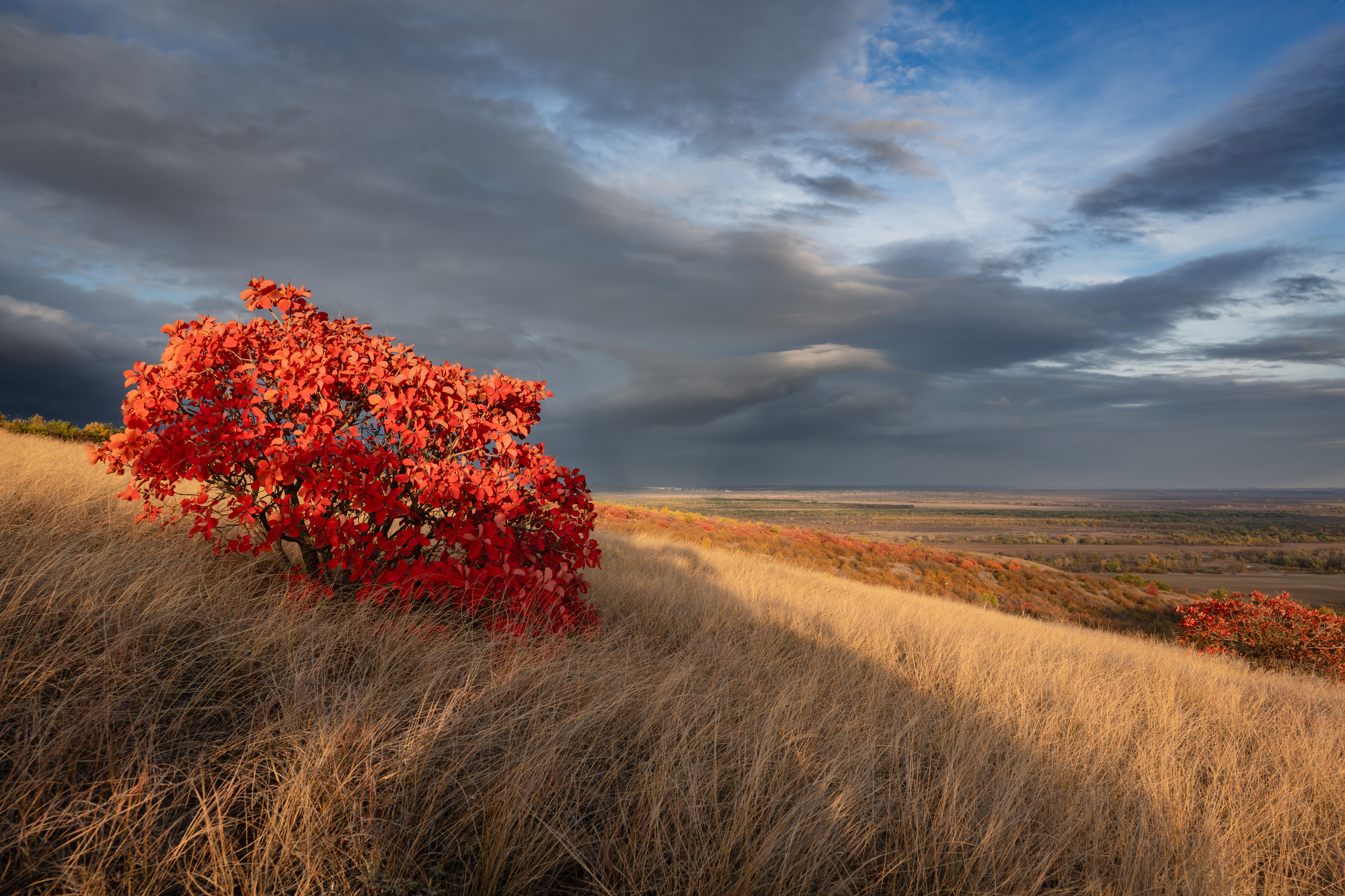 осень, скумпия, облака, небо, красный, ростовская область., Шишкалов Константин