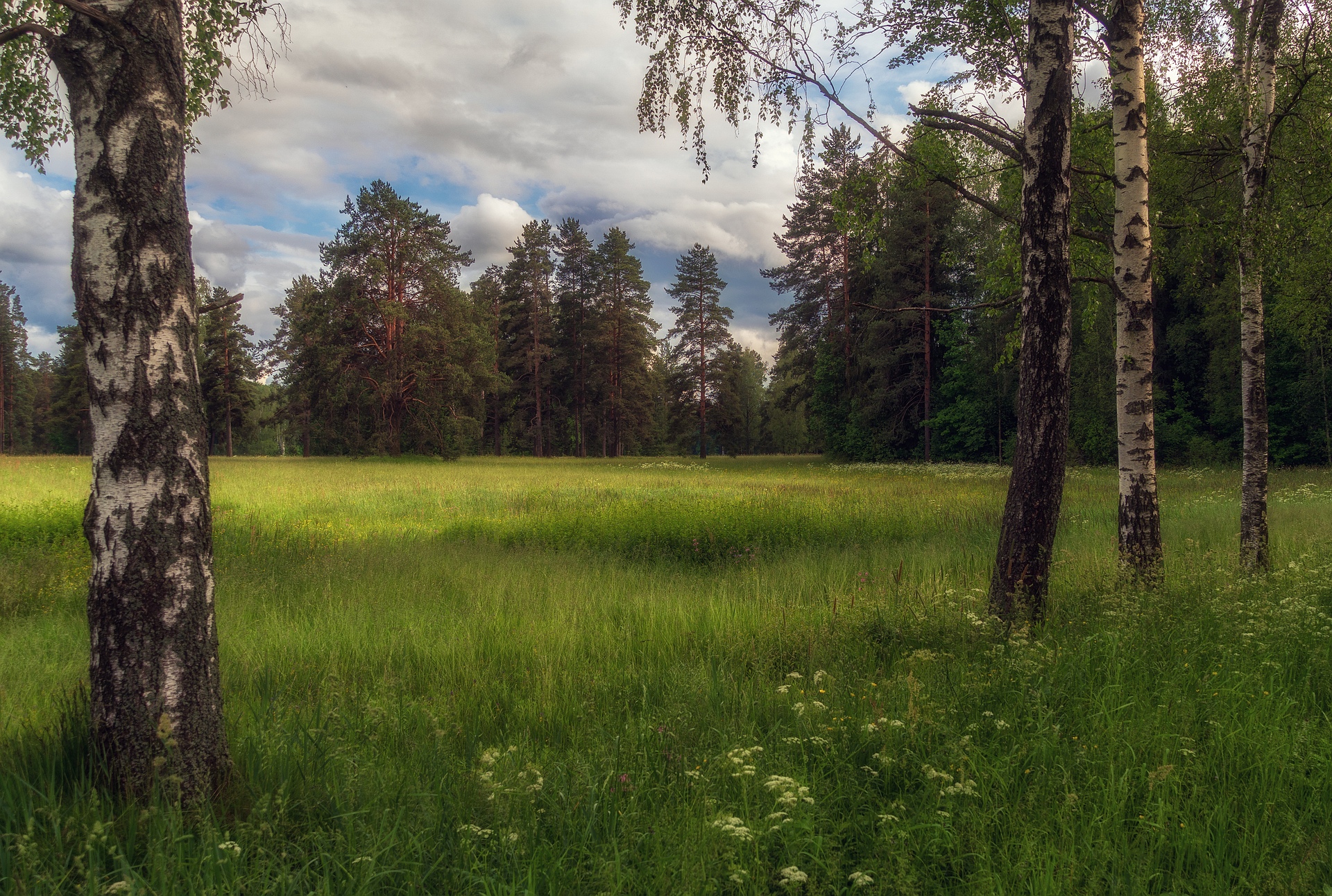 павловский парк, Васин Сергей