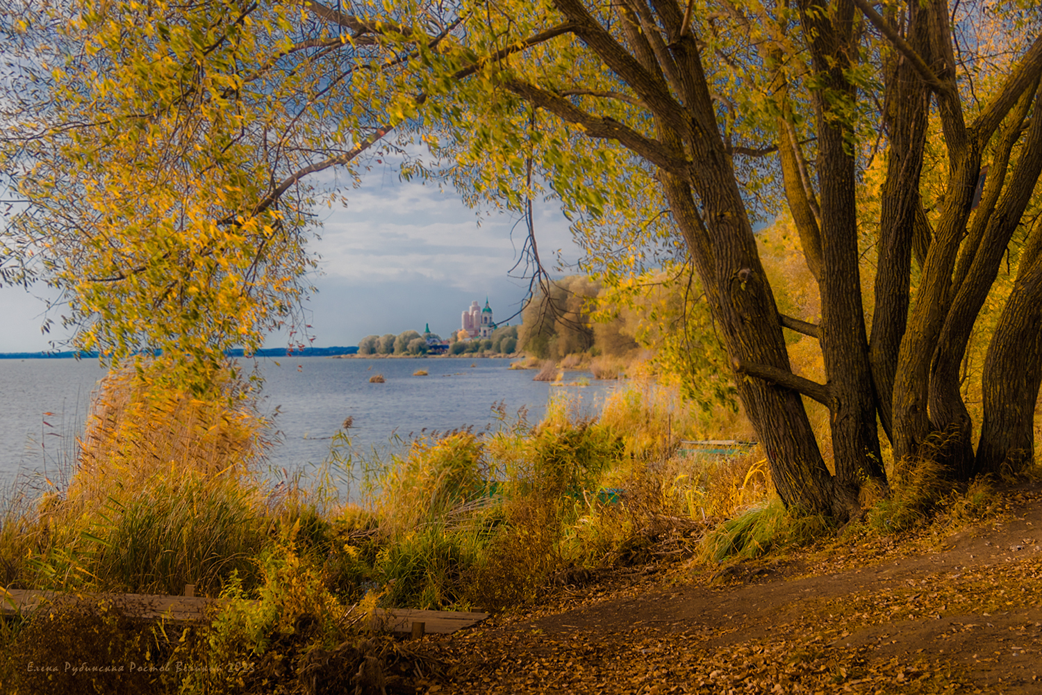 ростов великий, Елена Рубинская