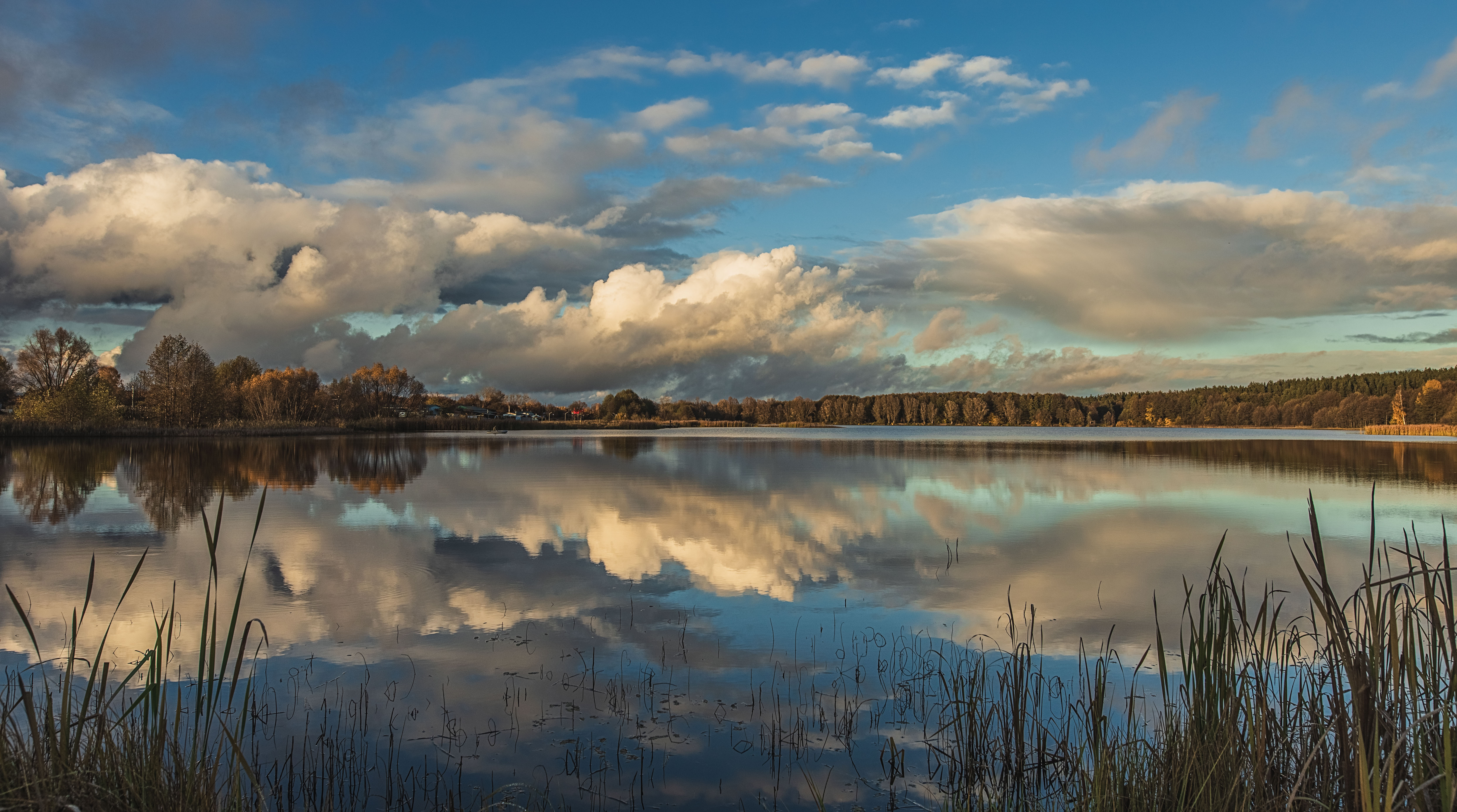 на устимском пруду, Владимир Васильев