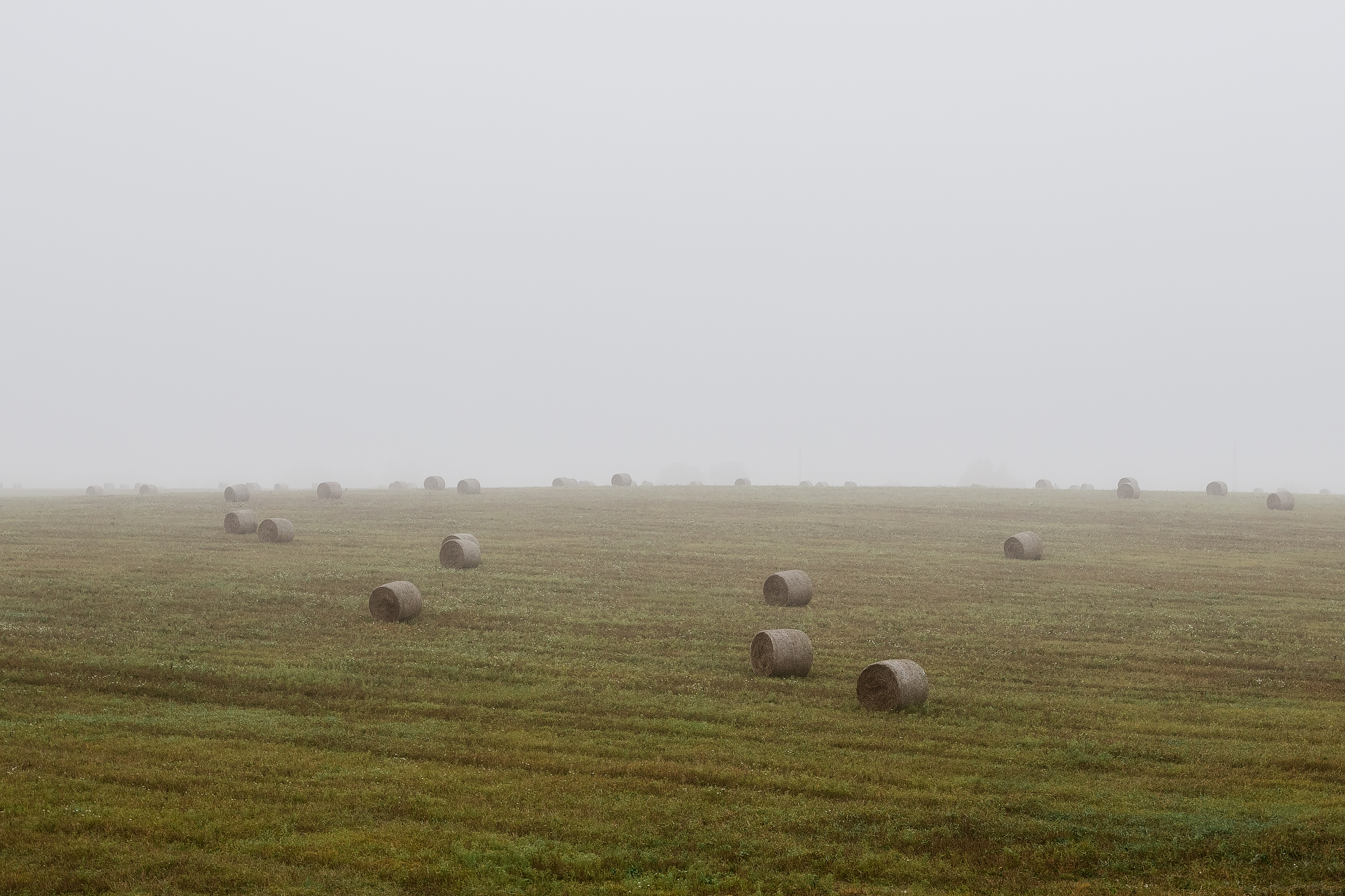 природа, пейзаж, поле, сено, осенняя пора, Московская область, туман, Мартыненко Дмитрий