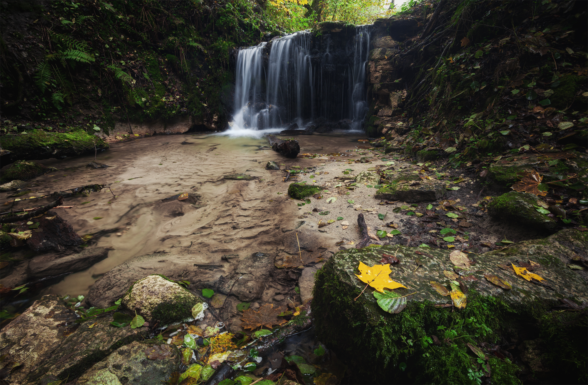 ,  Mirosław Pruchnicki