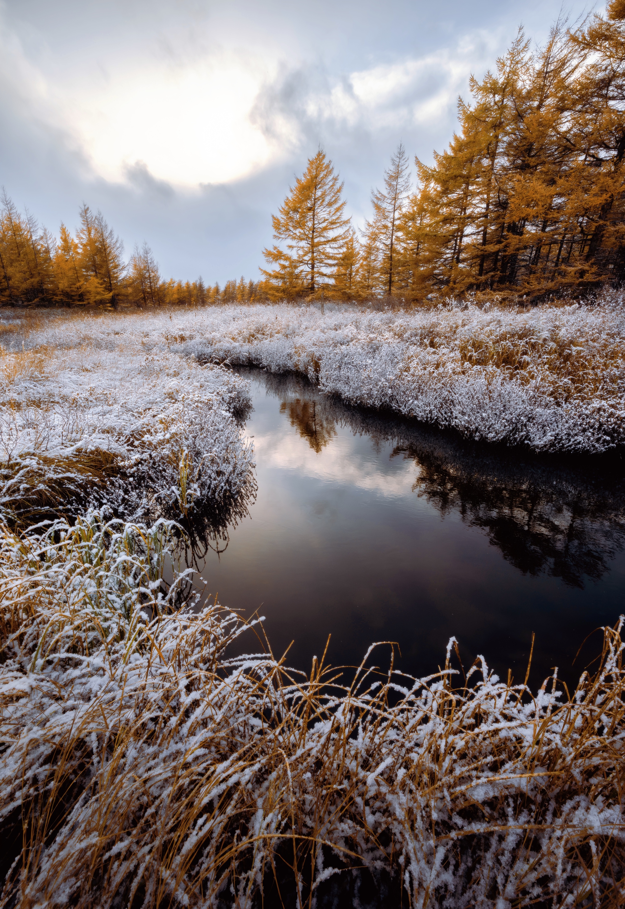 , Антон Сидоров