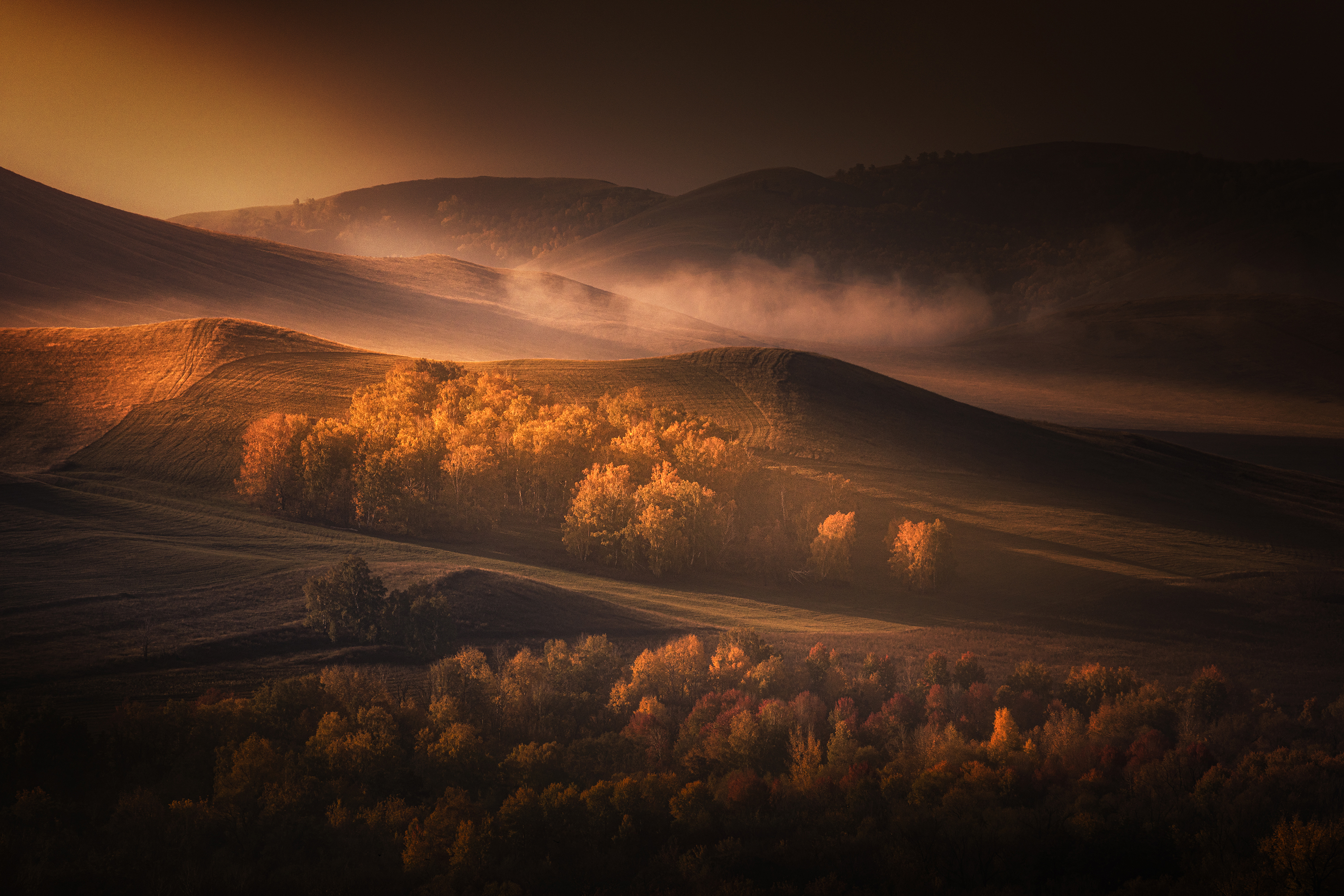 , Татьяна Бирюкова