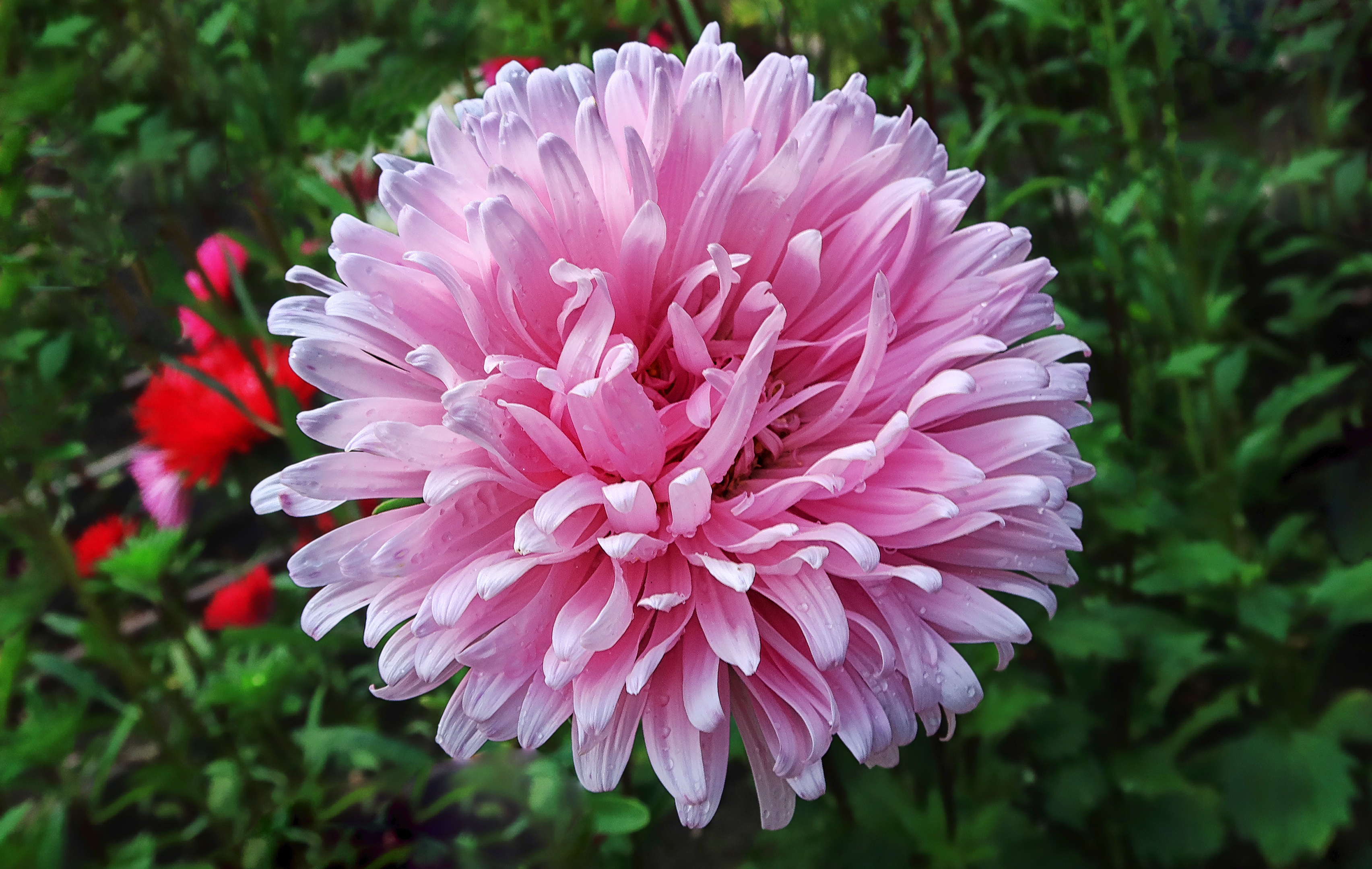 , Ушаков Валерий