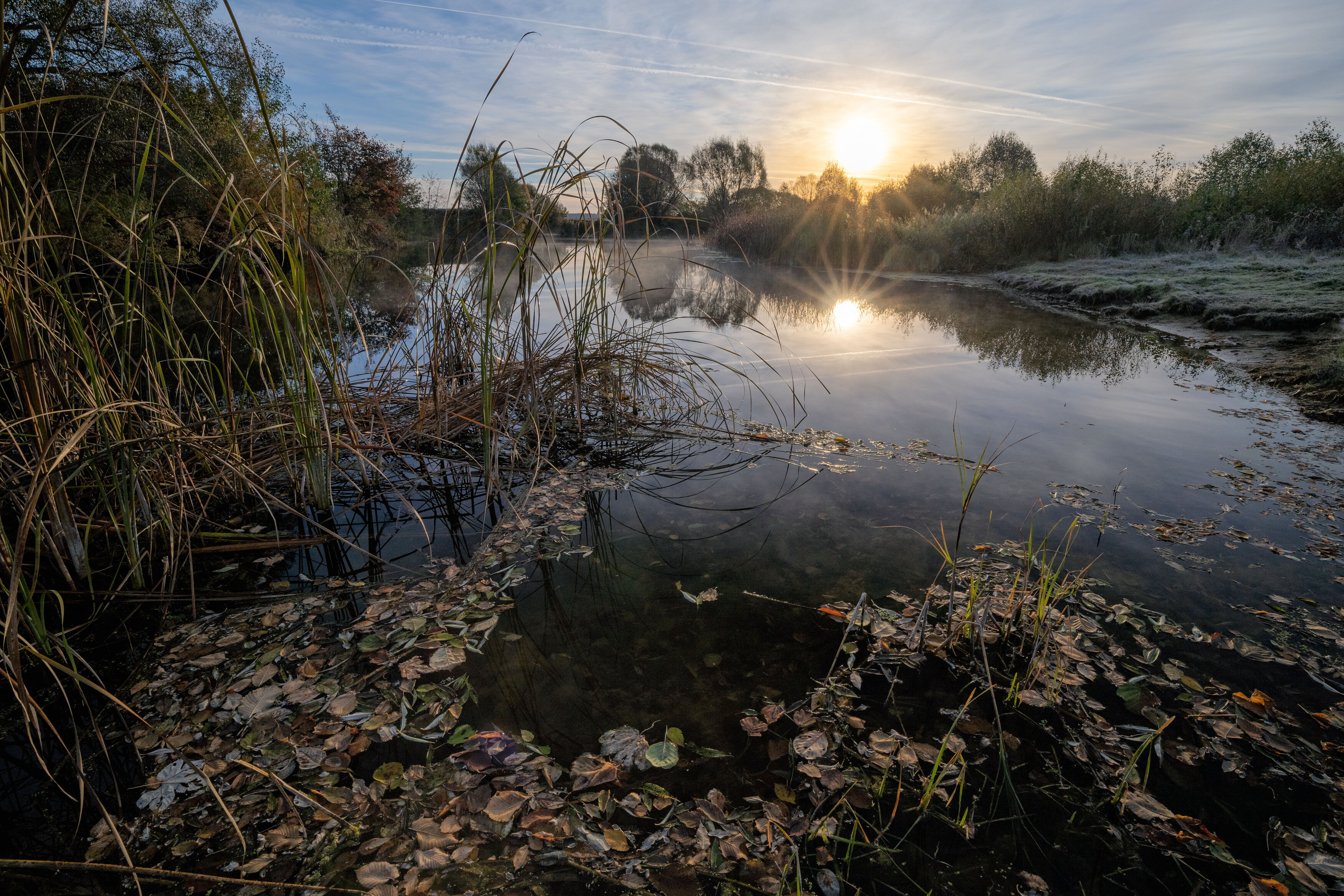 , Александр Бредихин