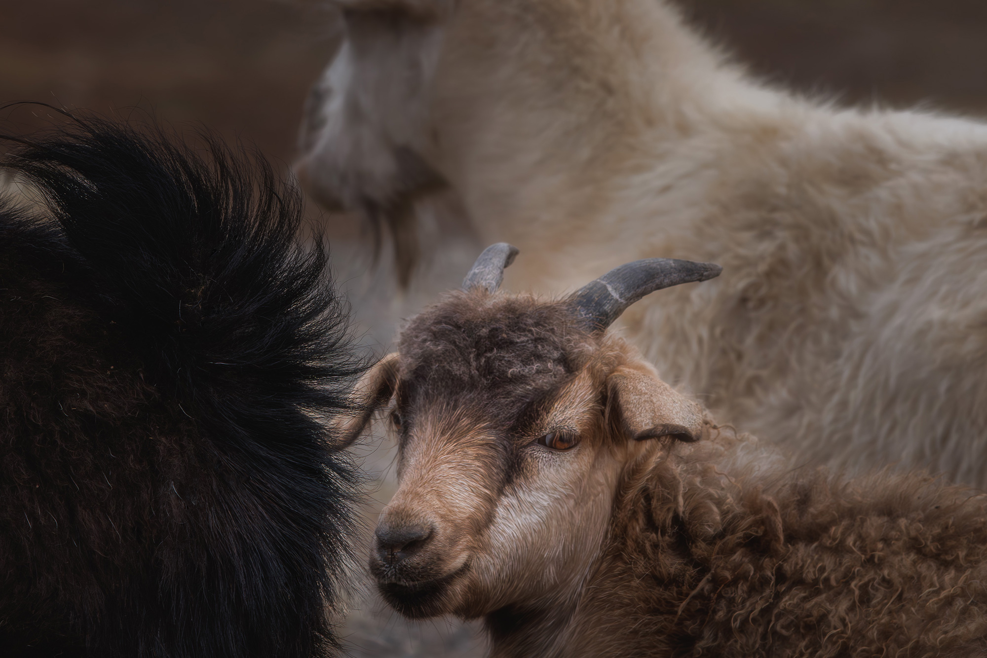 , Морозов Сергей