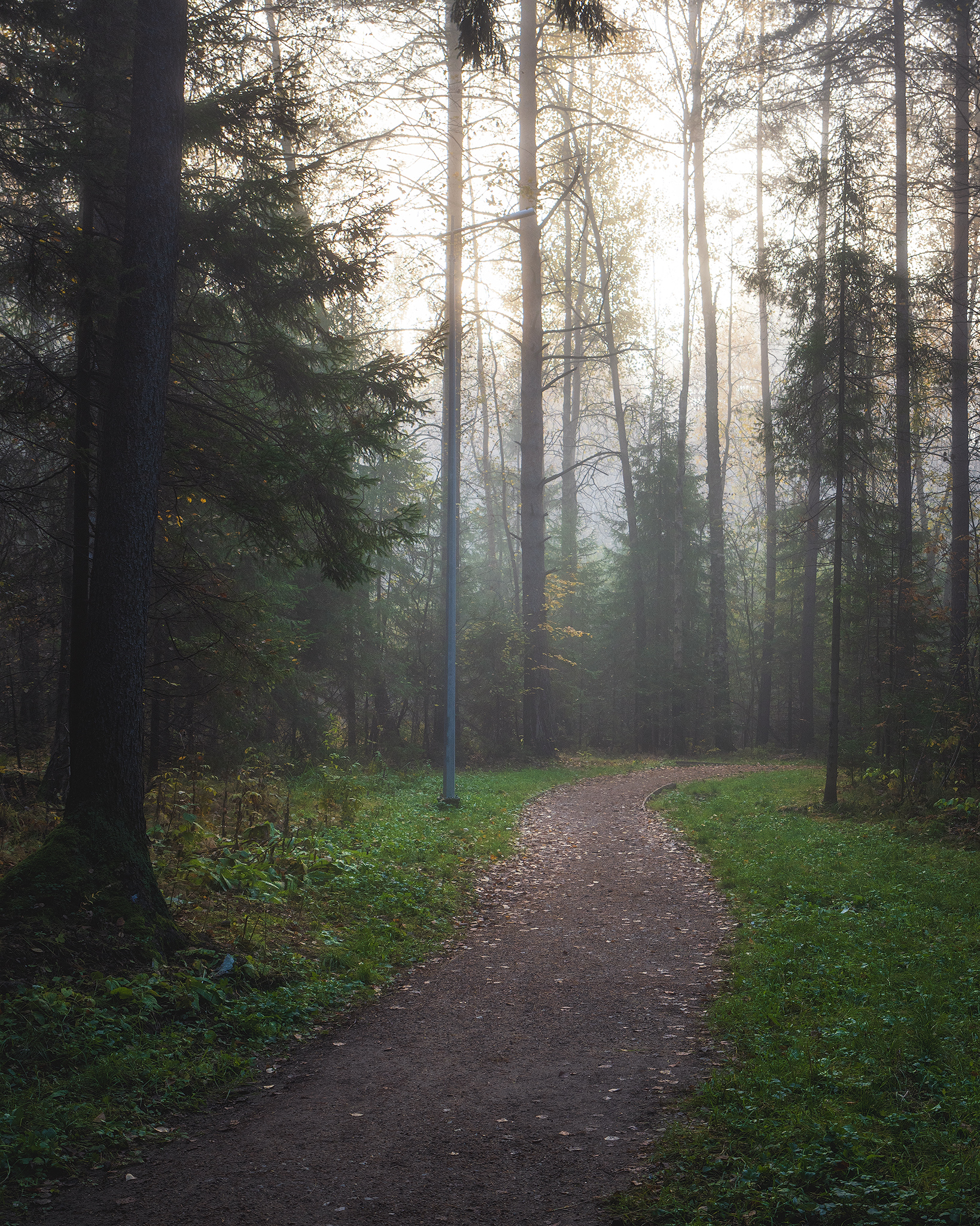 пермский край, пейзаж, рассвет, красота природы, поле, лес, туман, утро, осень, Кузнецов Кирилл