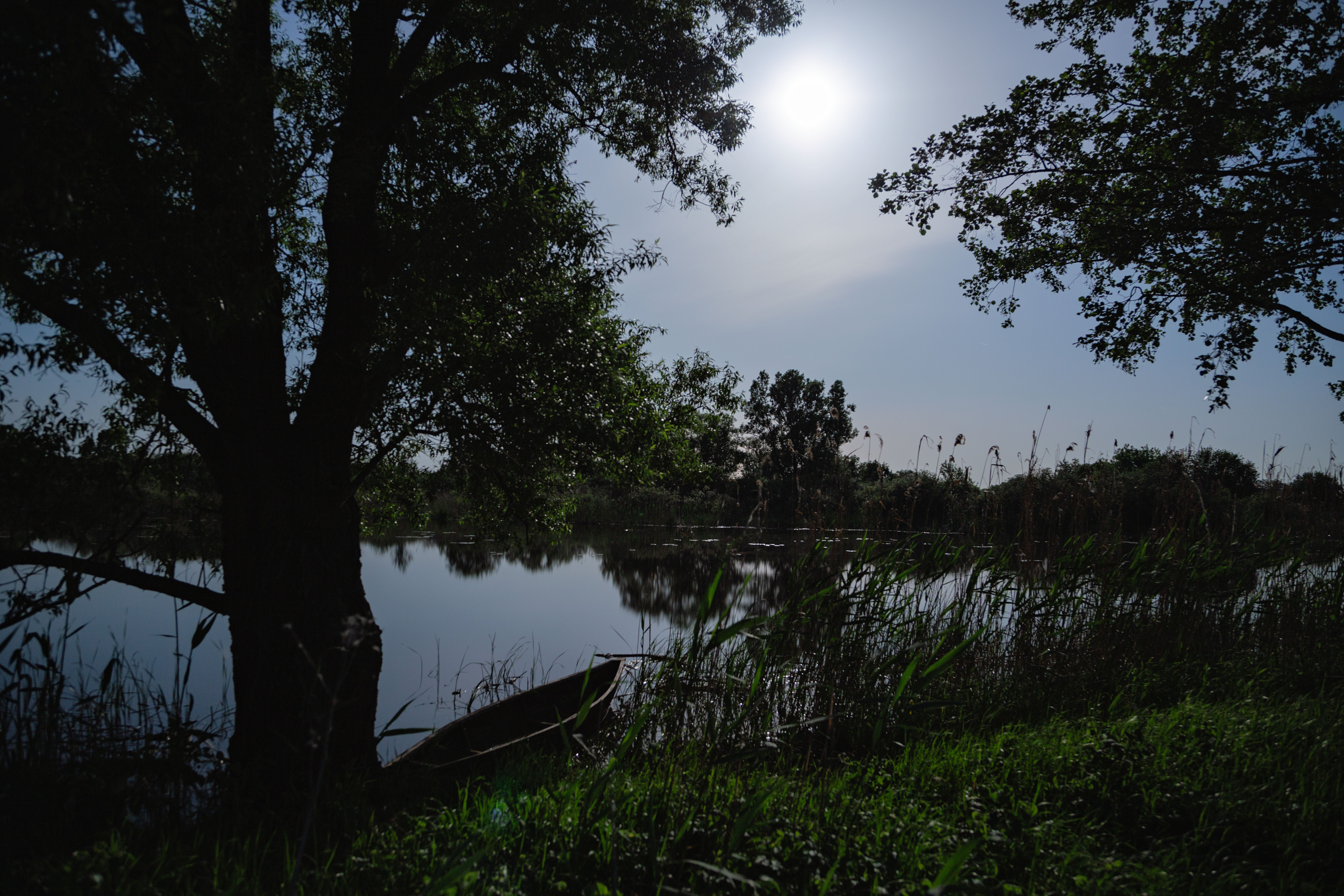 , Александр Бредихин