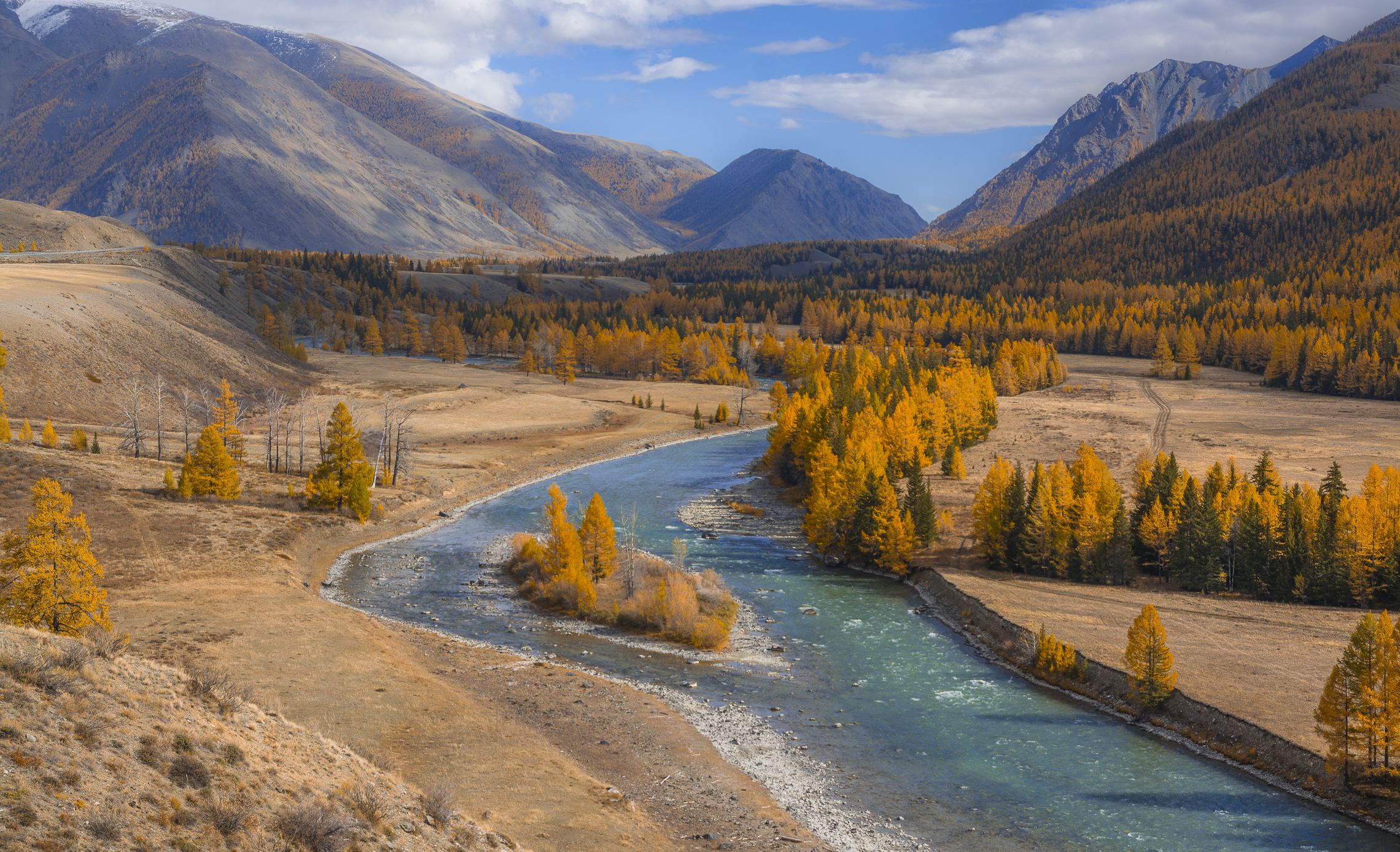 россия, горный алтай,река, островок,осень, Андрей Поляков