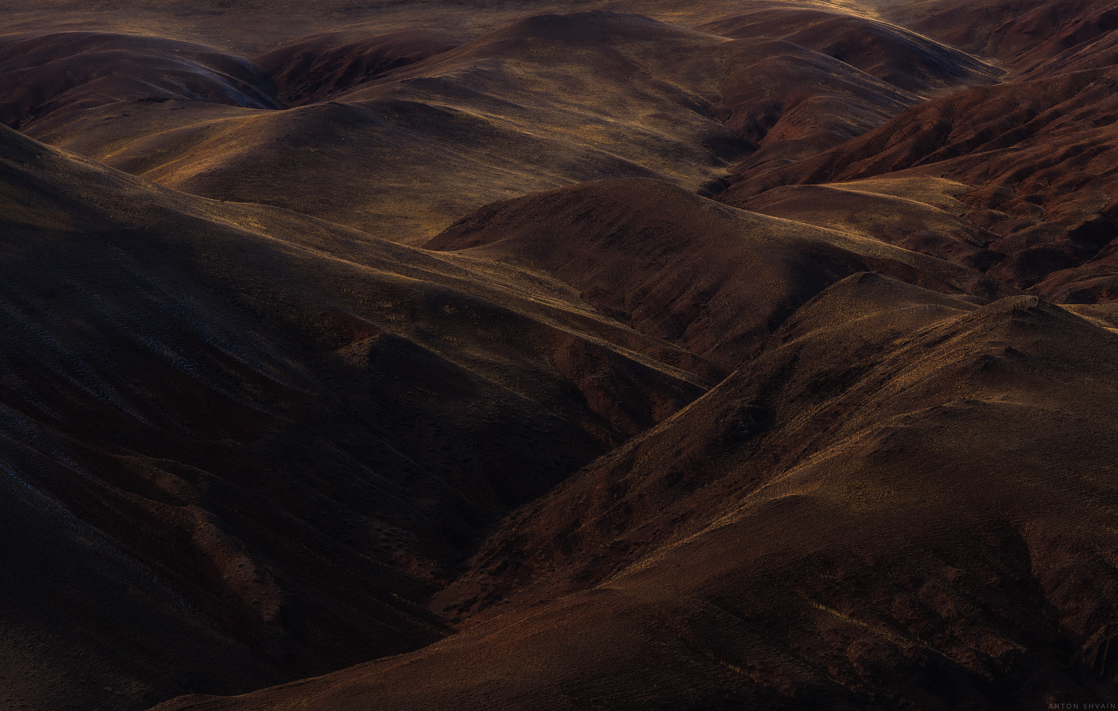 , Антон Шваин