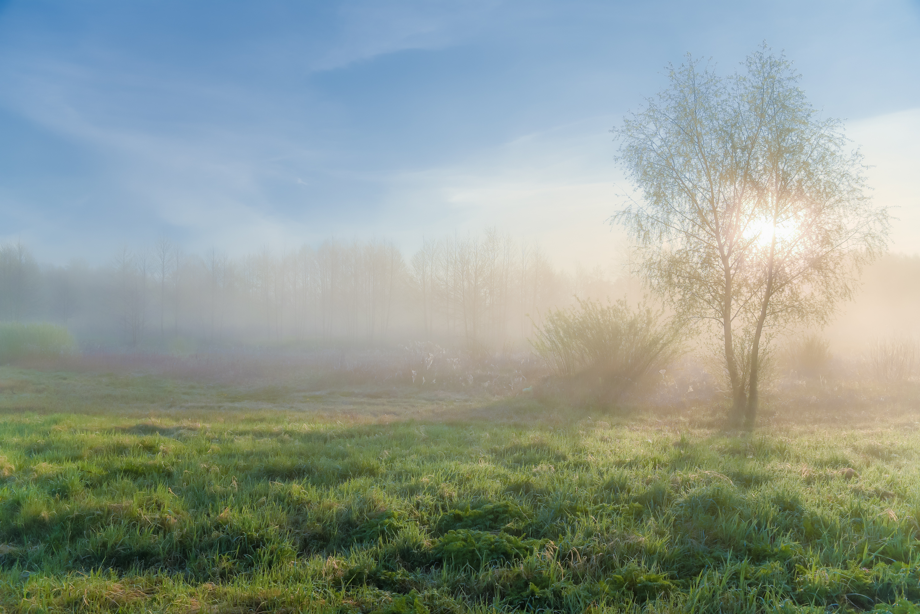 , Руслан Авдевич