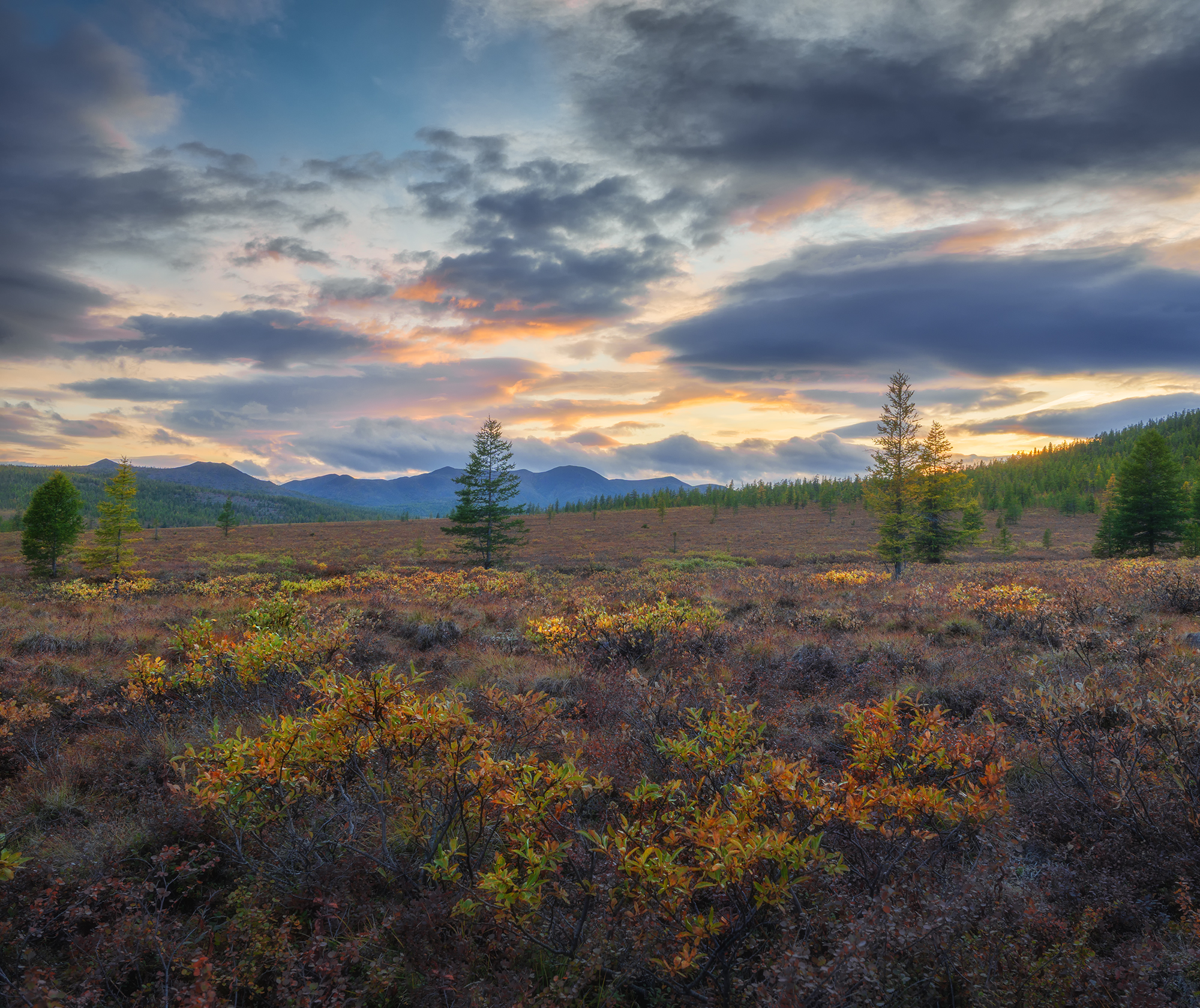, Андреев Николай