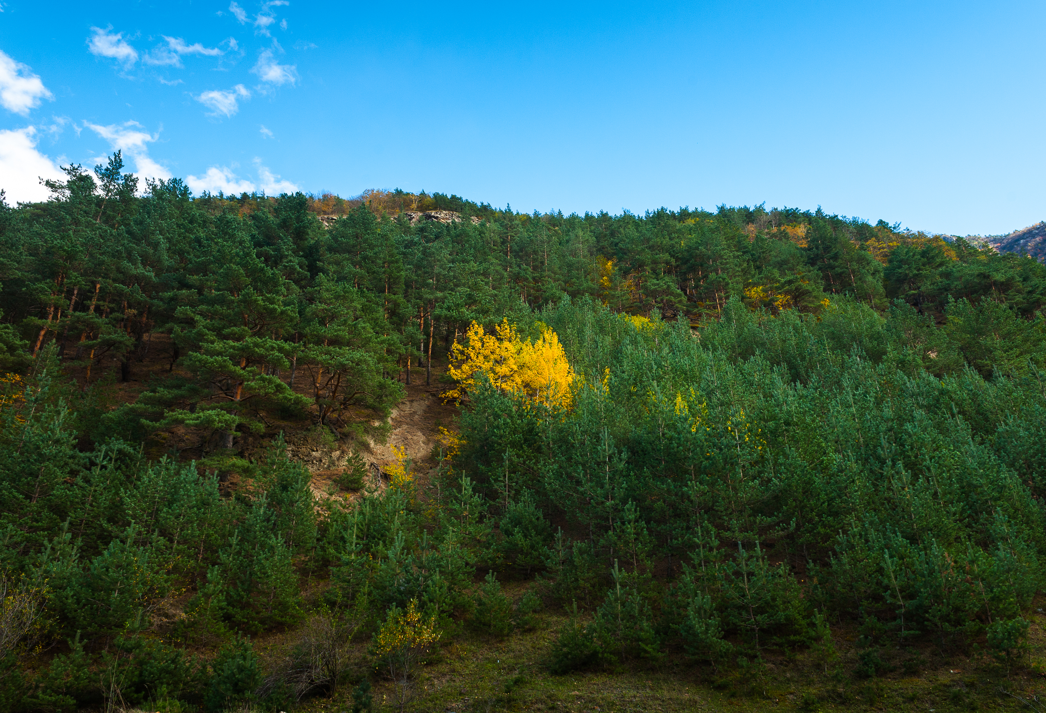 , Табуев Батраз