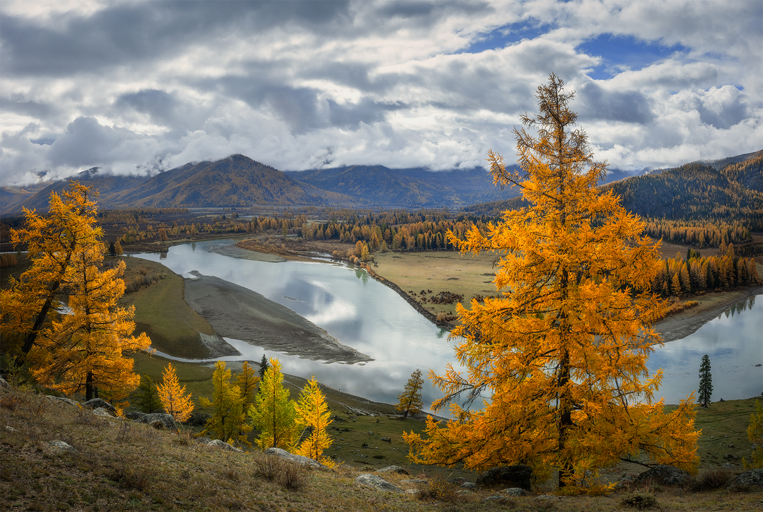 алтай, река, лиственницы, осень, облака, Сергей Буторин