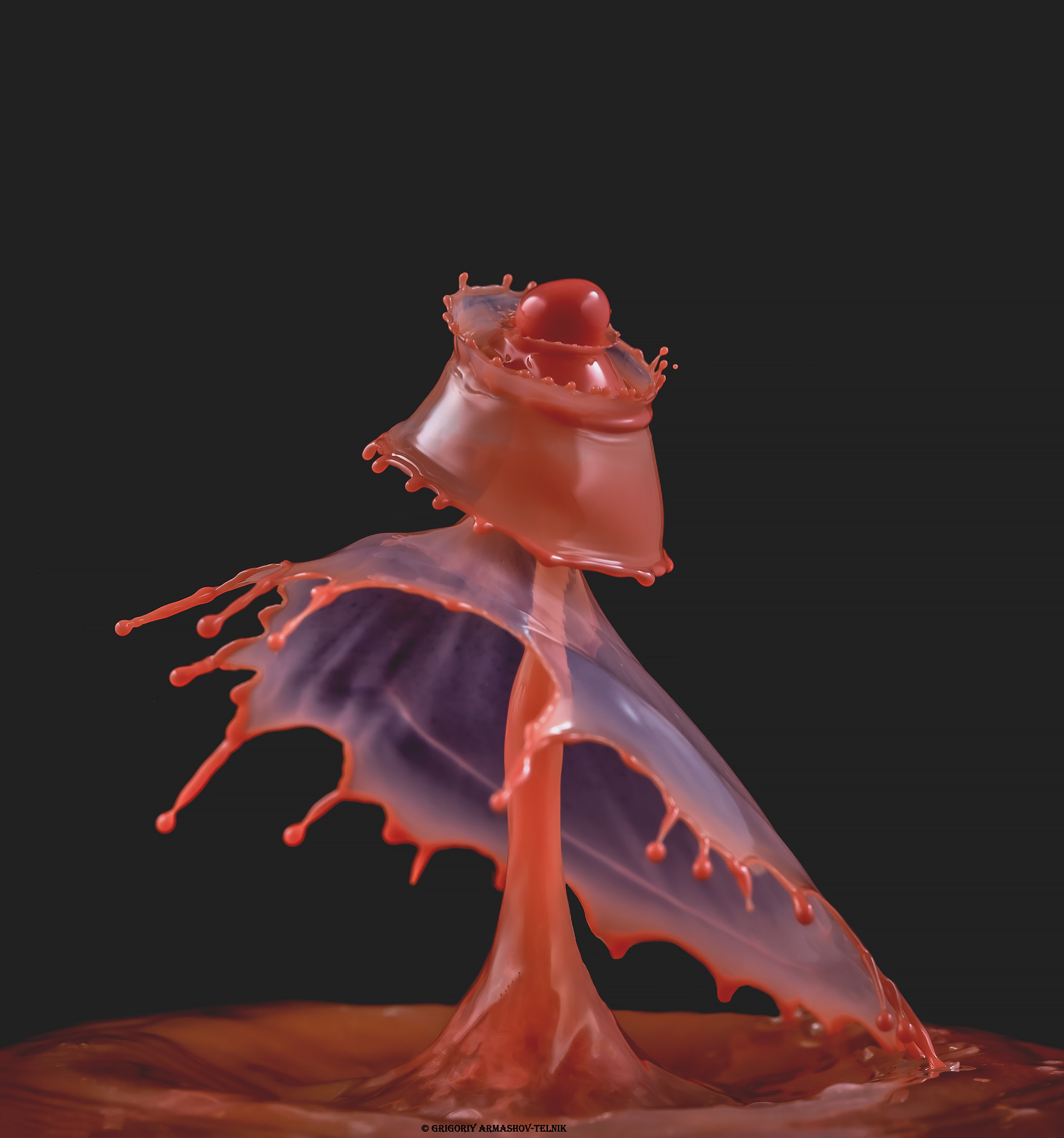 #color_image, #color, #drop, #liqiud, #macro, #water, #macrophoto, #red, Армашов-Тельник Григорий