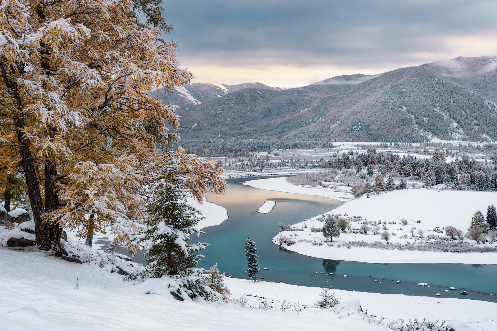алтай, горный алтай, пейзажи алтая, кош-агачский район, горная река, золотая осень, горы, осенний алтай, лиственницы, Рубан Елена