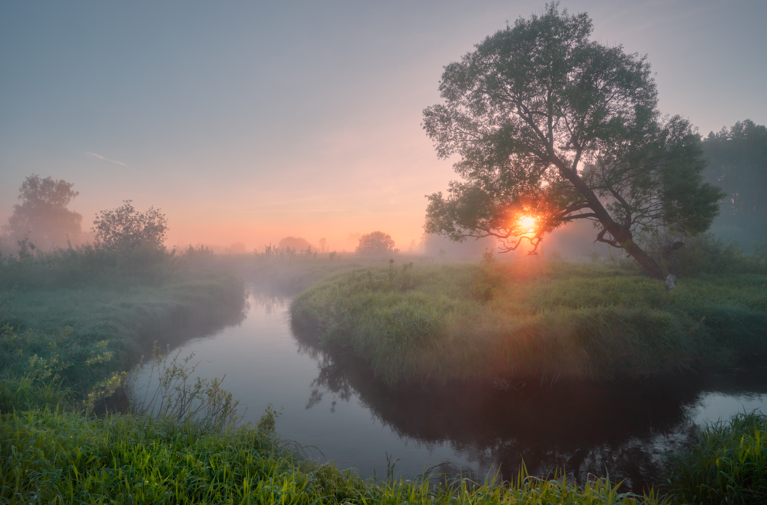 , Роман Лушпа