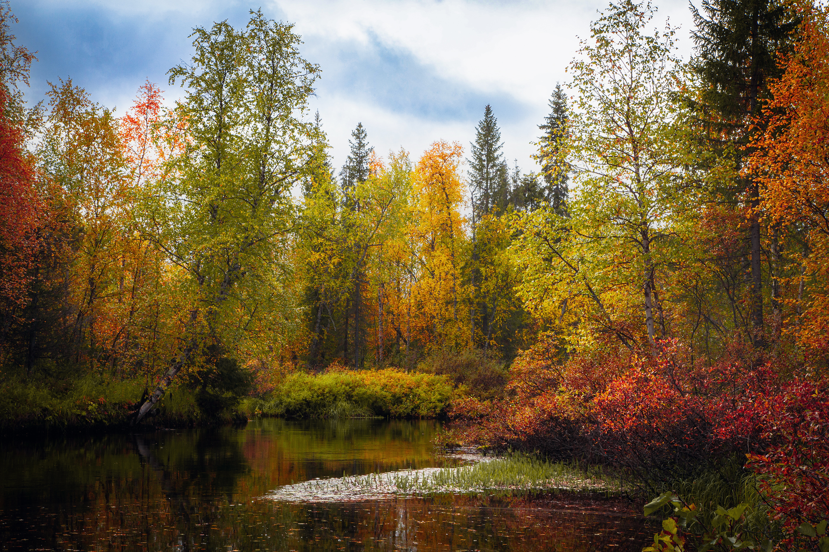 ковдор, мурманская область, фотограф покровский алексей, Покровский Алексей