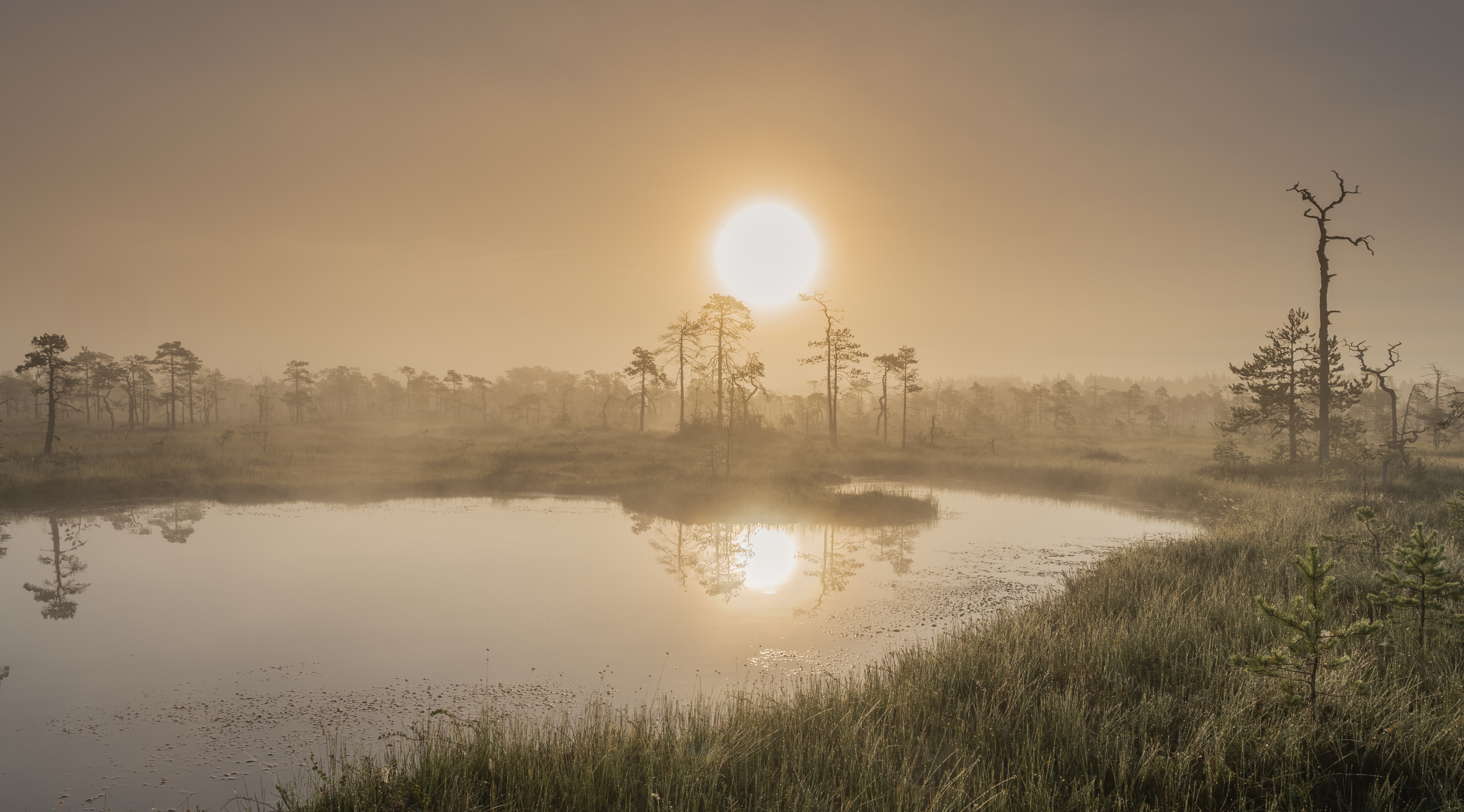 ленинградская область, Brouer Alexey