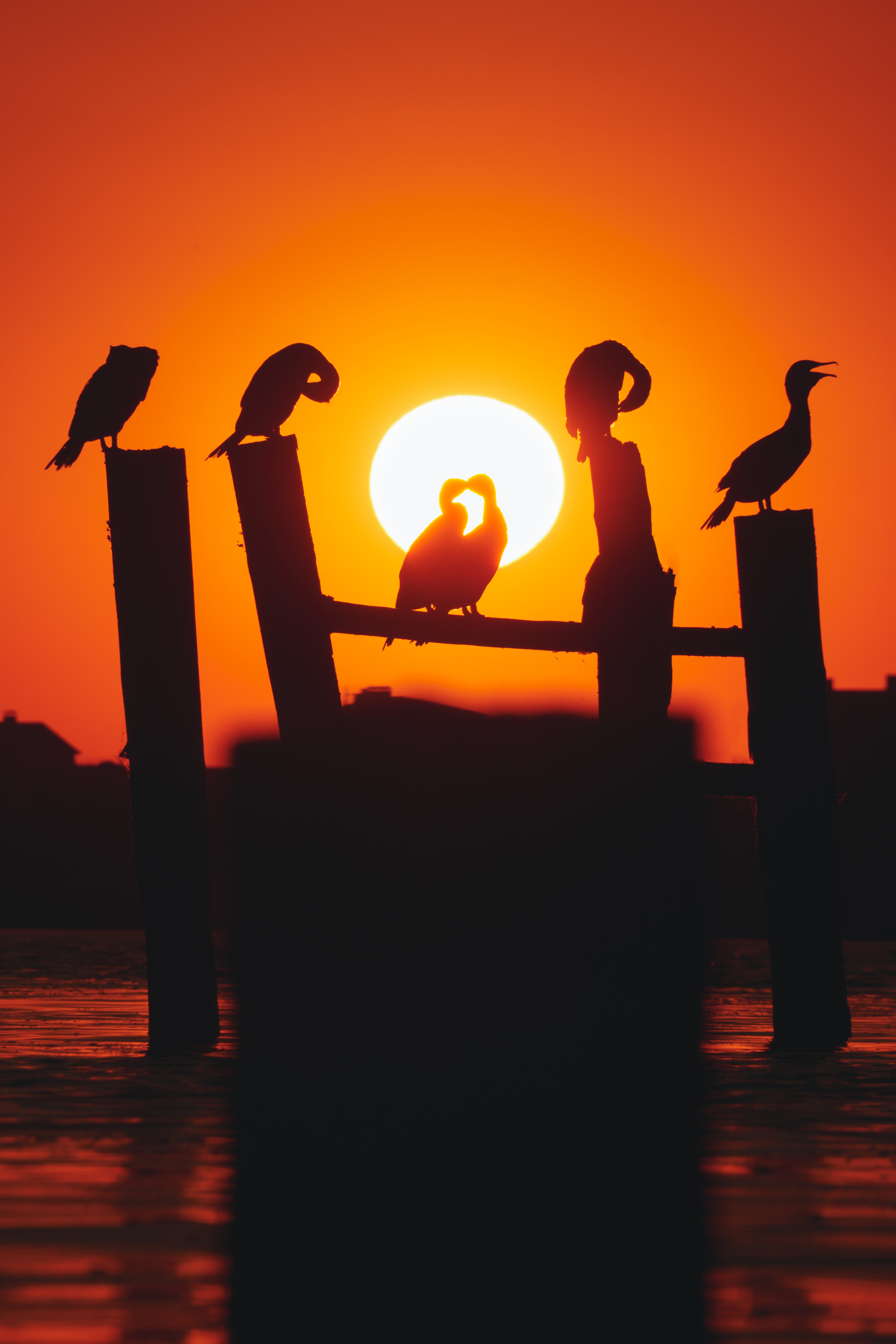 , Кривцов Андрей