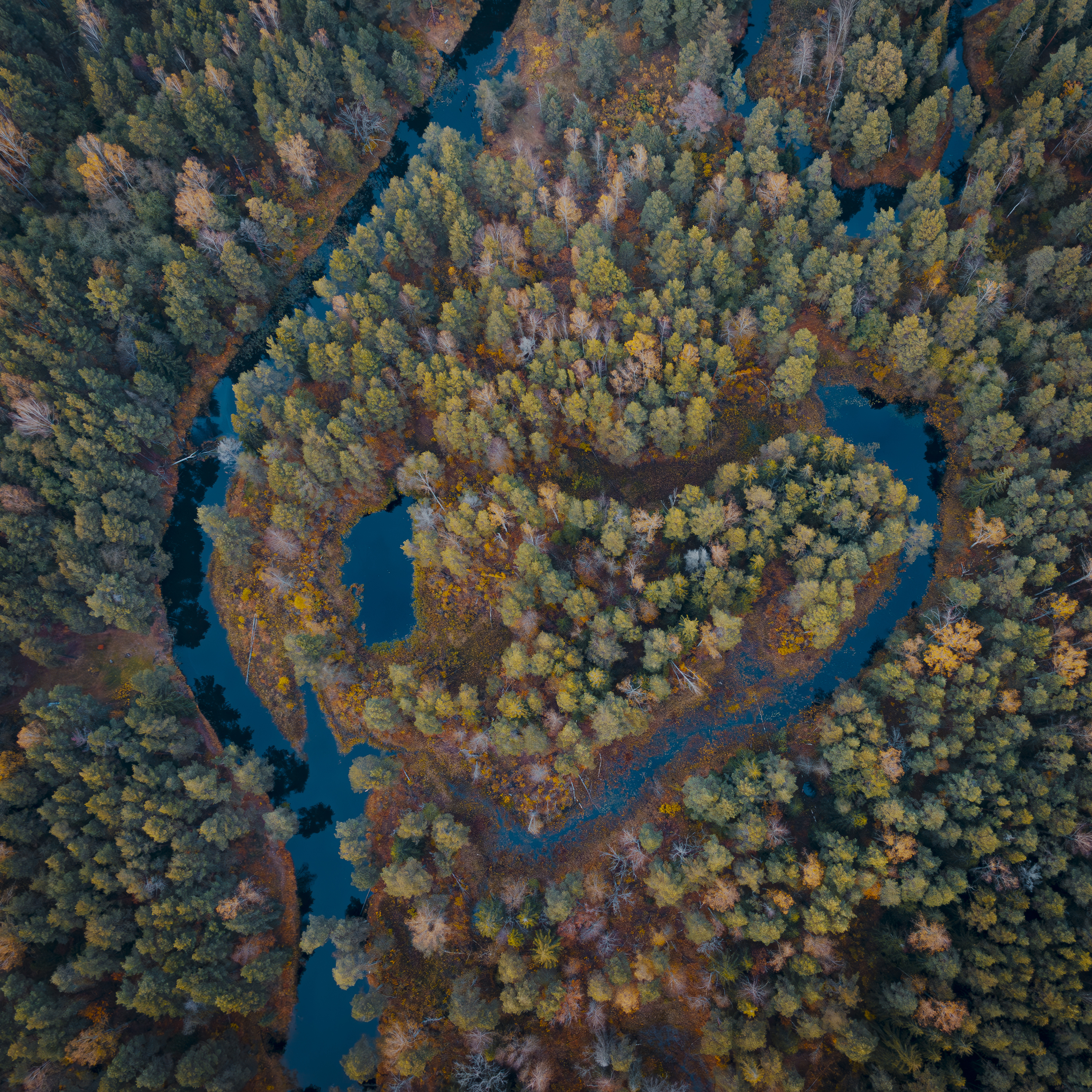 , Лаврентьев Александр