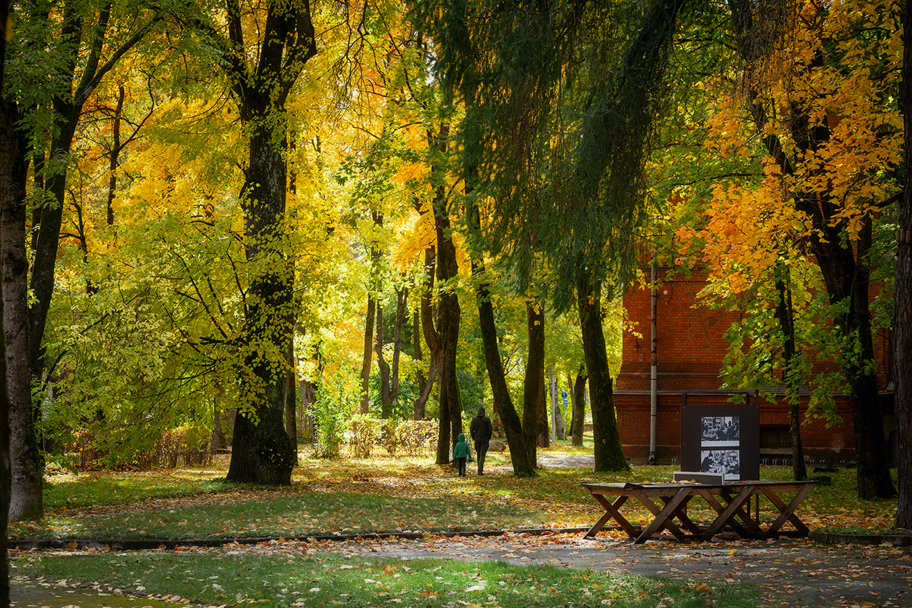 нарва осень октябрь кренгольм, Четвертной Сергей