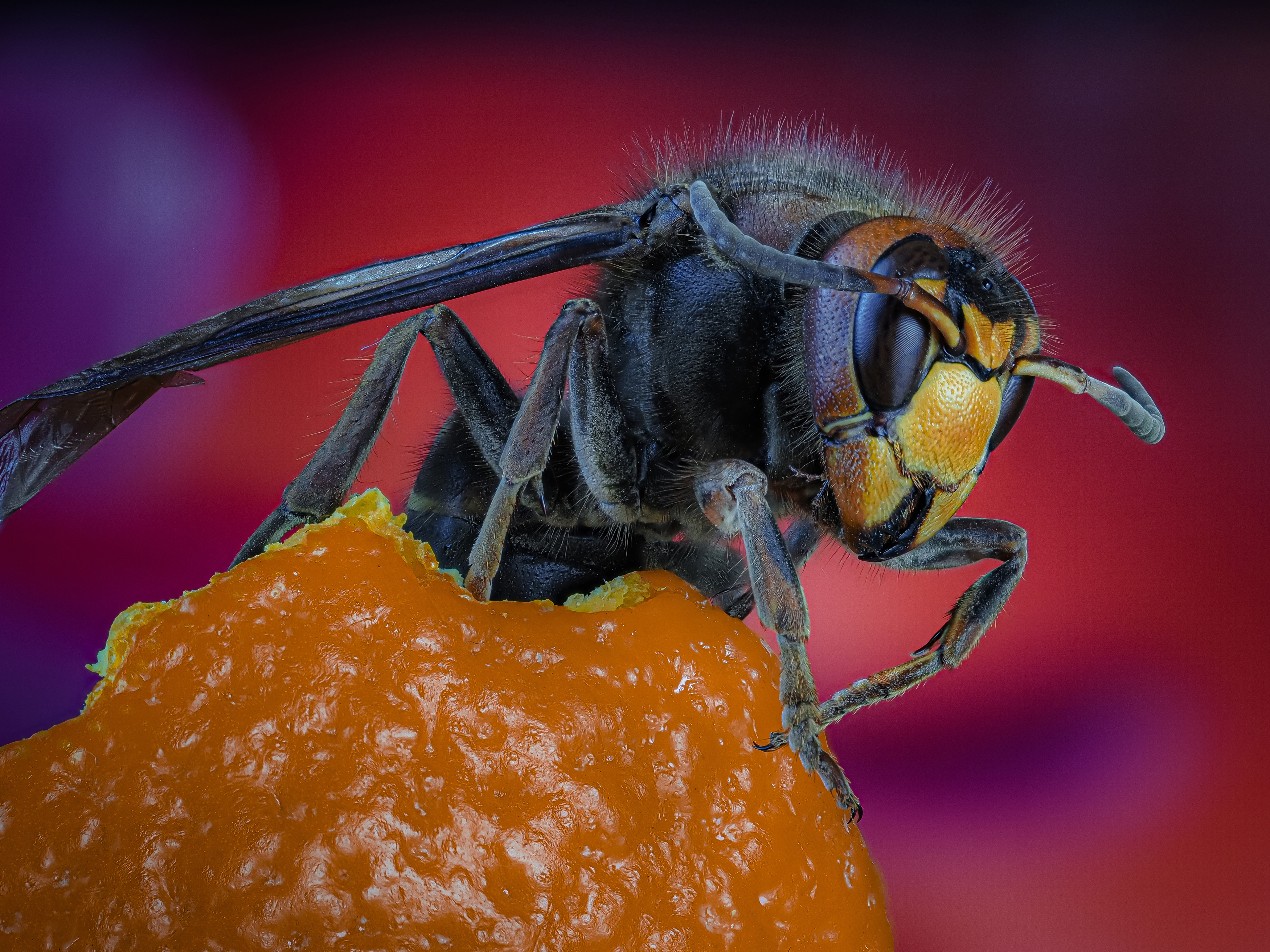 , Олег Савицкий