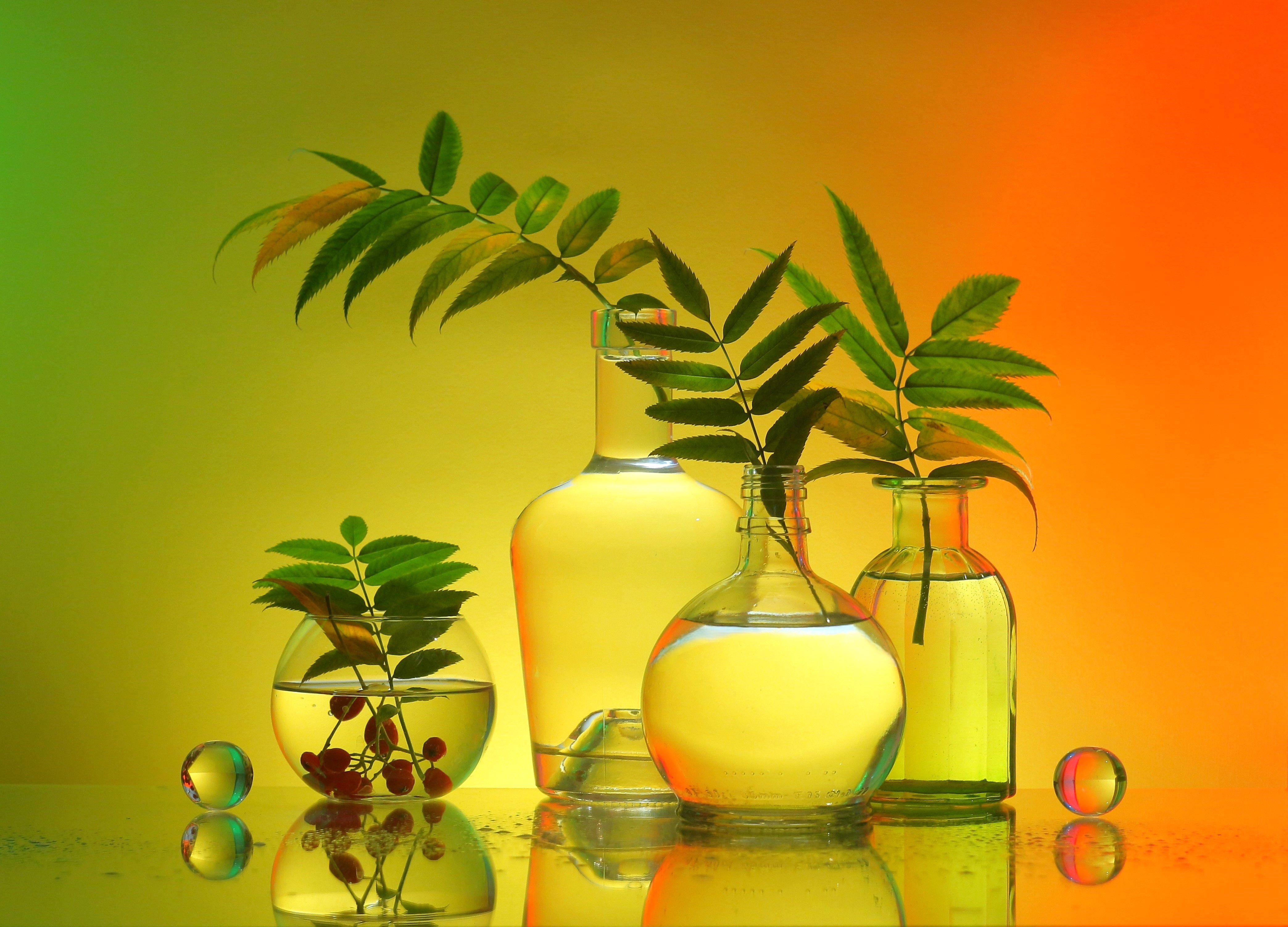 , Людмила Хрусталева*