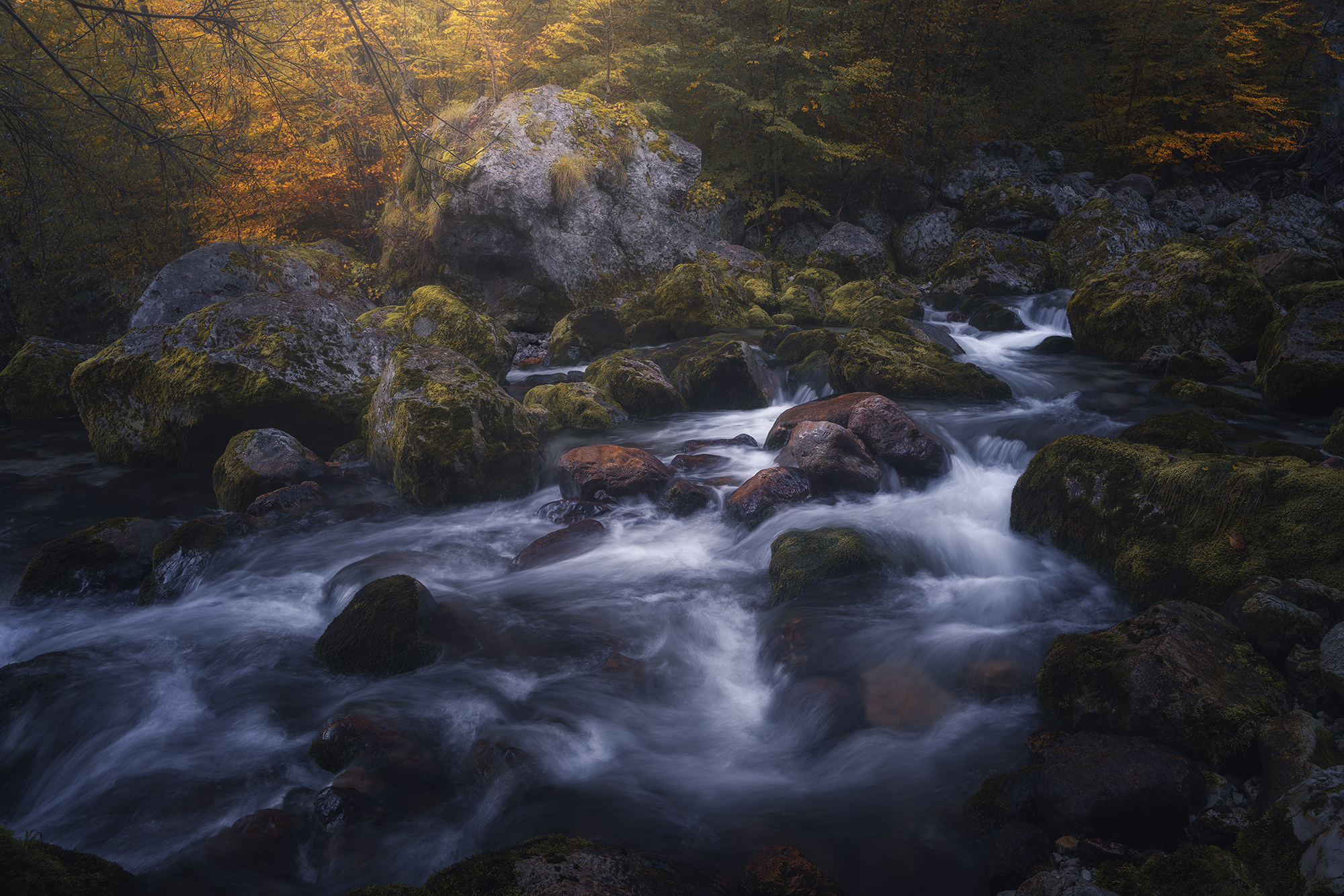 , de Franzoni Thomas