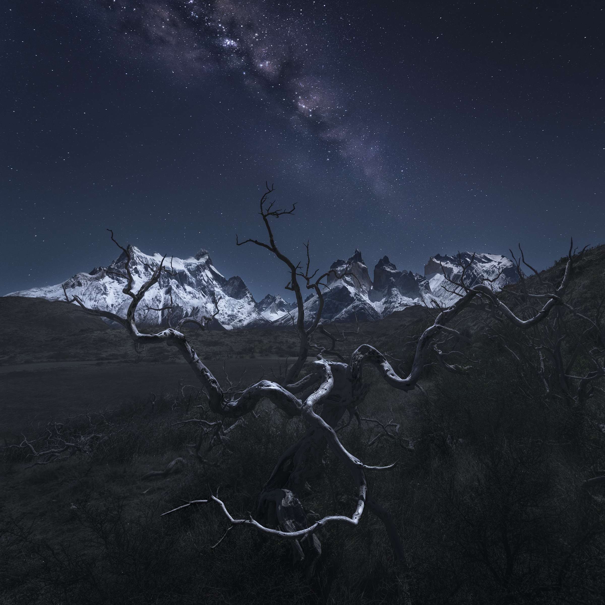 , Политова Анна