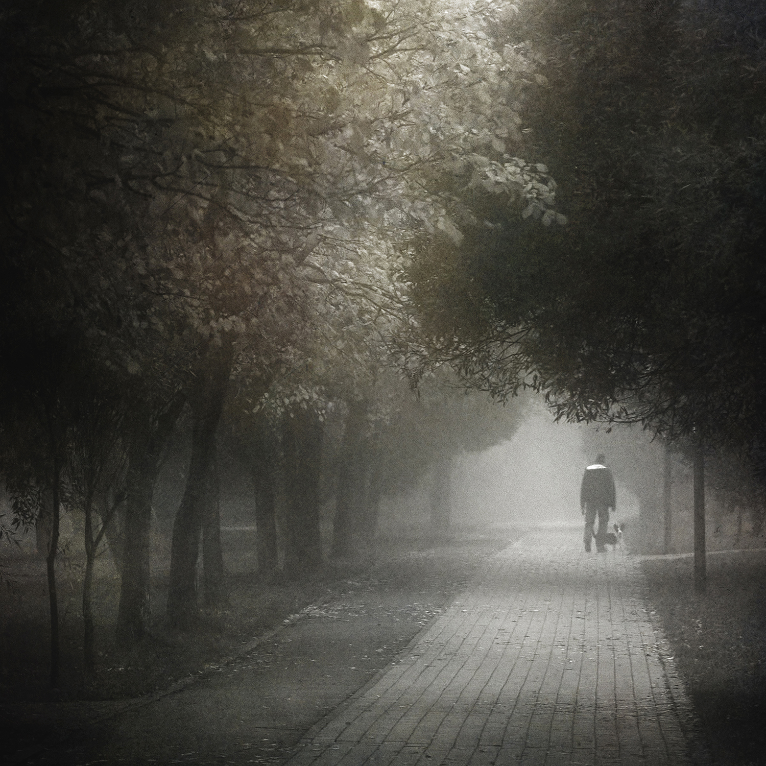 чб, туман, стрит, Сергей Кот