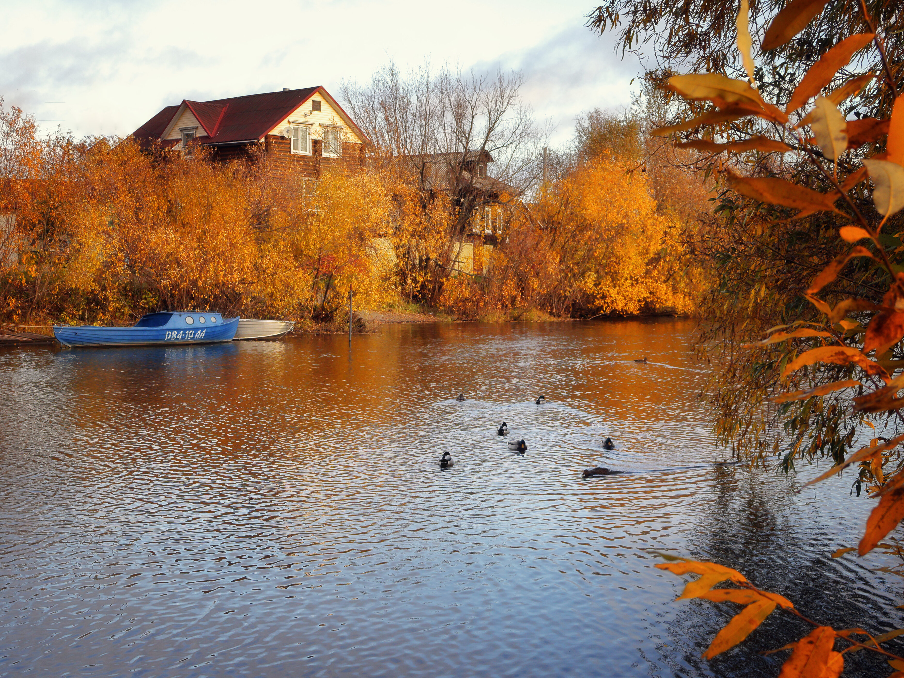 , Александр Титов